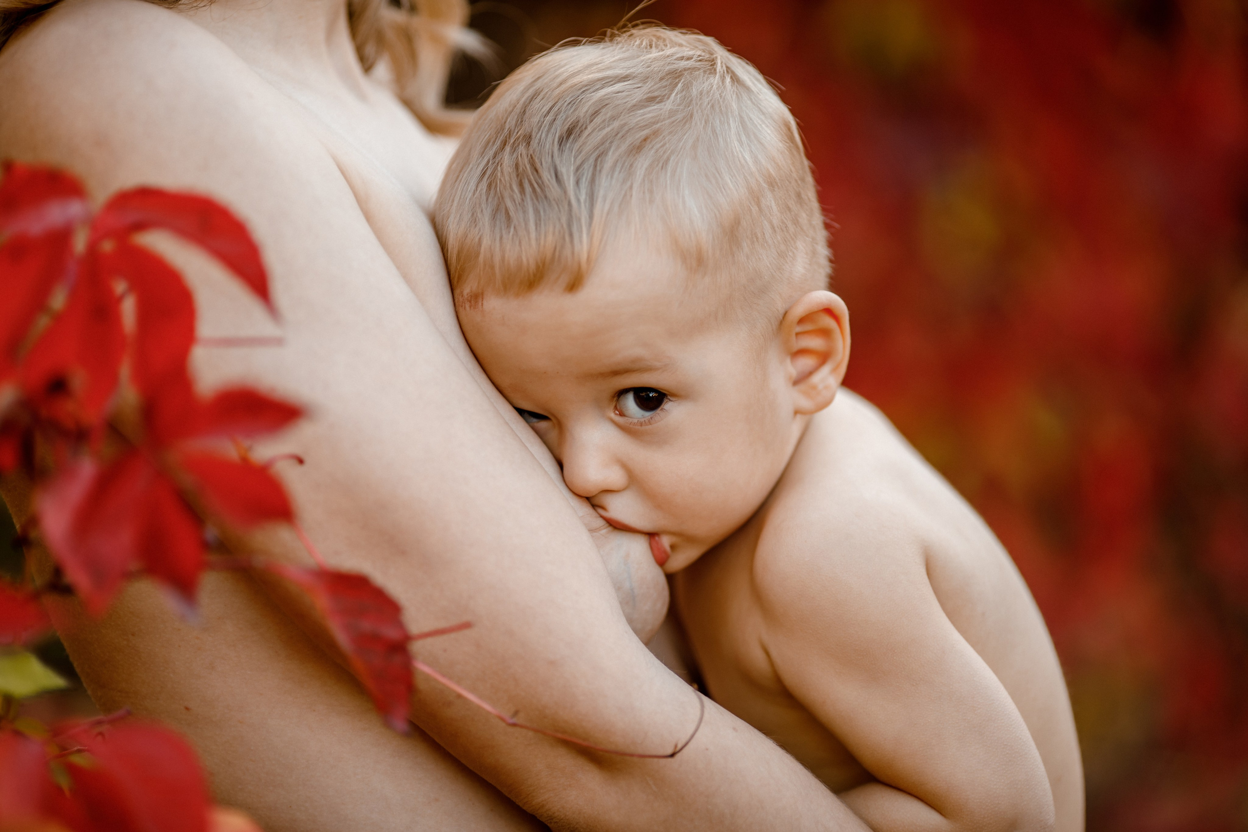 Грудное кормление. Фотограф материнства и таинства кормления Екатерина Кузьмин