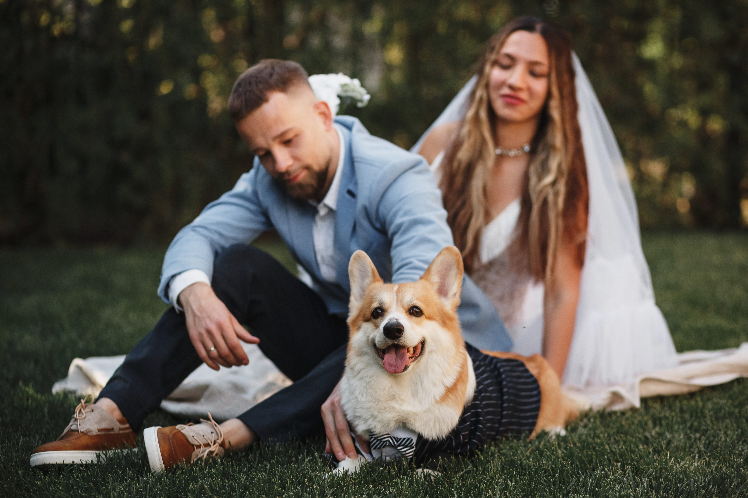 Фотосессия в Таганроге: Денис и Маша с их очаровательной собакой. Свадебный и семейный фотограф в Таганроге Бакарюк Антон