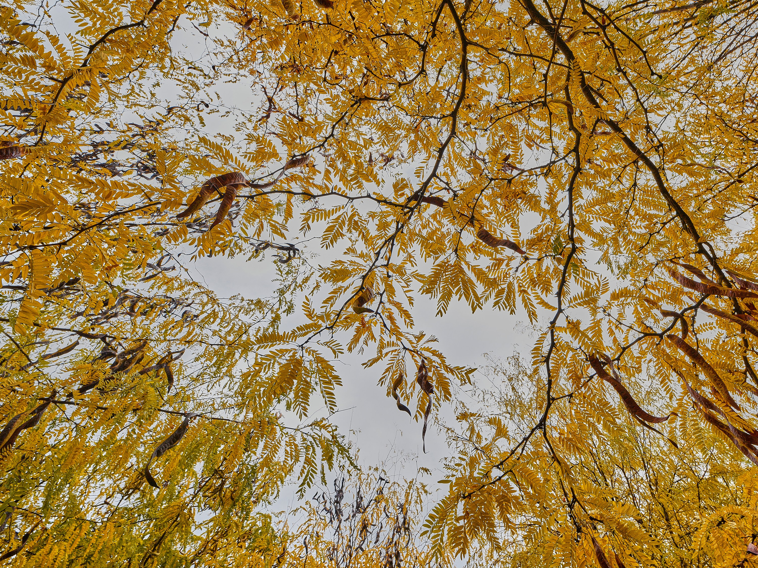 Текстуры и другие фоны. Textures and other. Яркие фото на Чёрном море