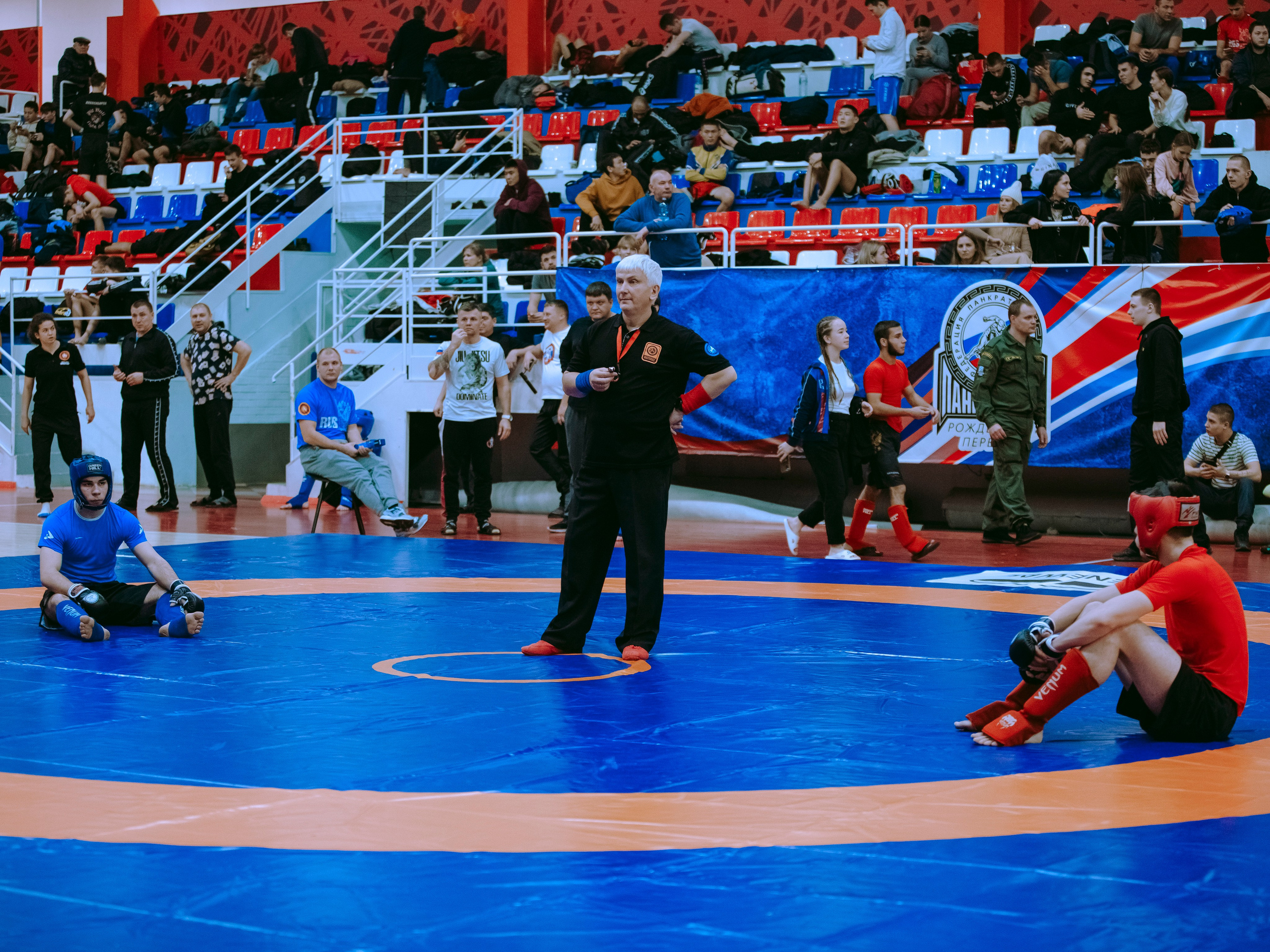 Кубок России по спортивной борьбе панкратион `23. Портретный фотограф в Москве Дарья Цезария