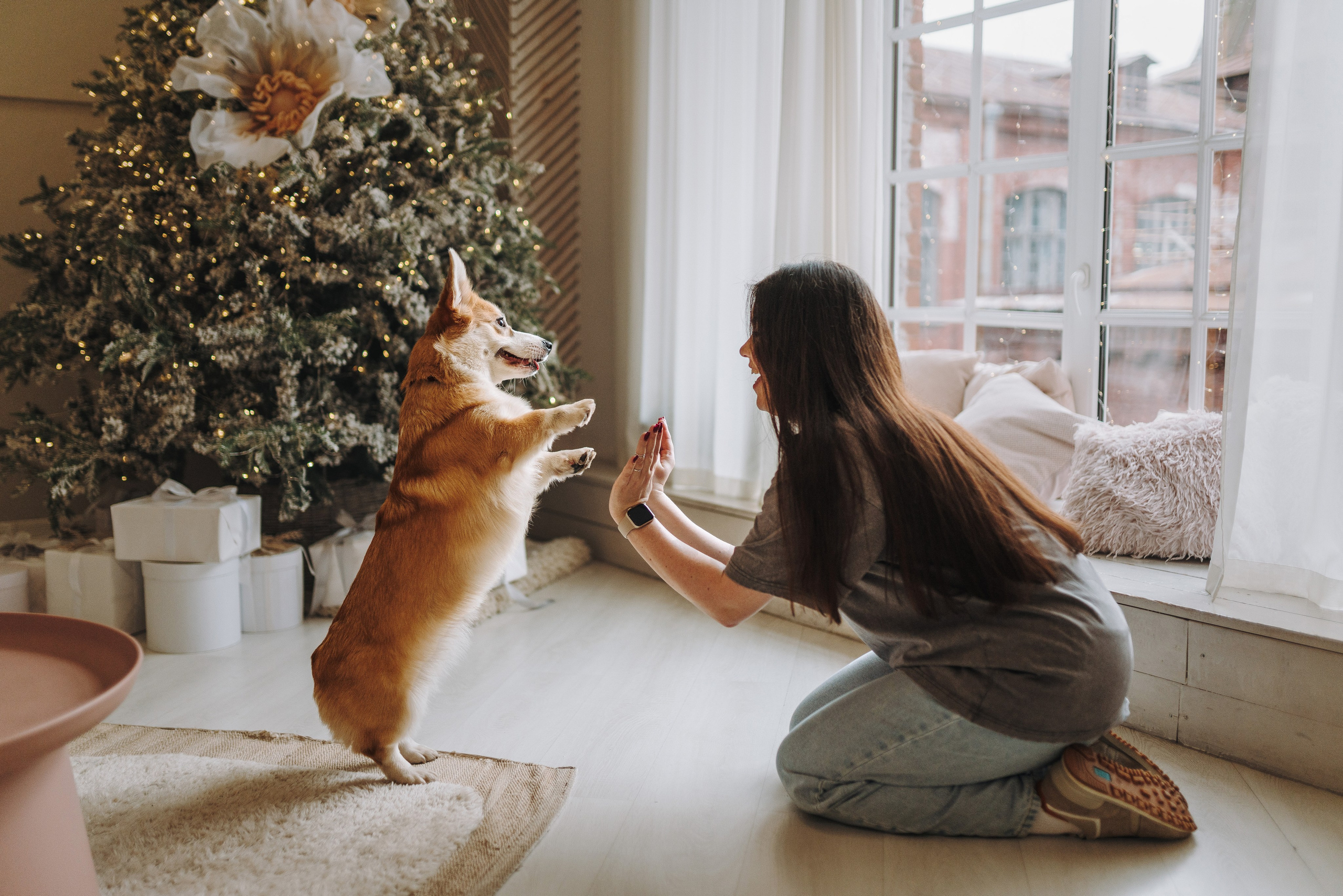 Александра и Бри. Фотограф анималист в Спб недорого Олеся Майорова