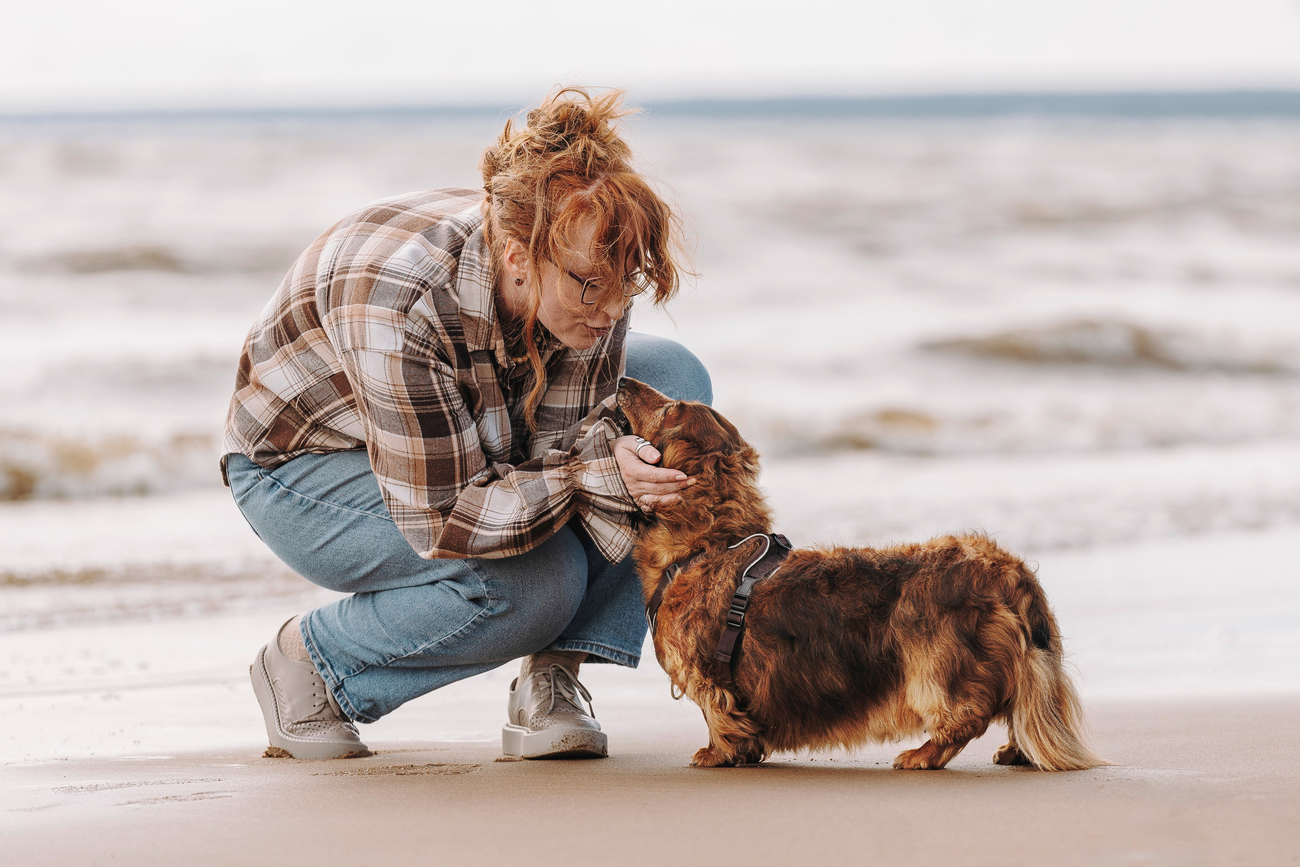 Фотосессия с длиношерстной таксой на пляжн. Фотограф анималист в Спб недорого Олеся Майорова