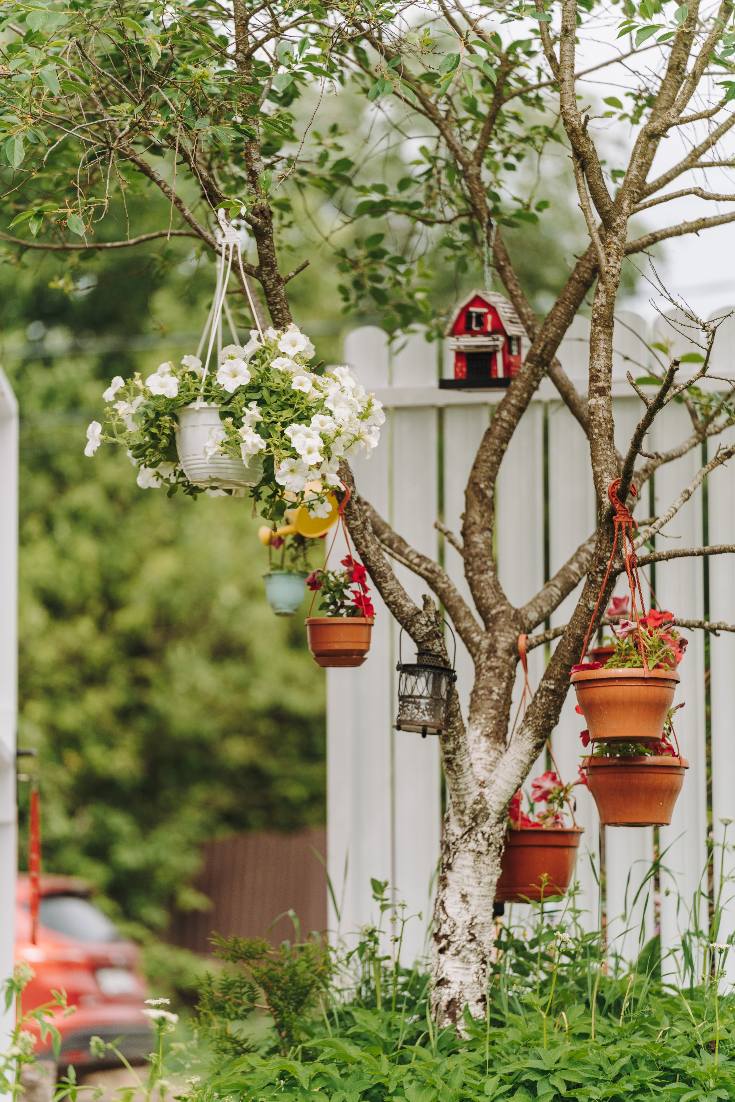 Соревнования по ноузворку. Фотограф анималист в Спб недорого Олеся Майорова
