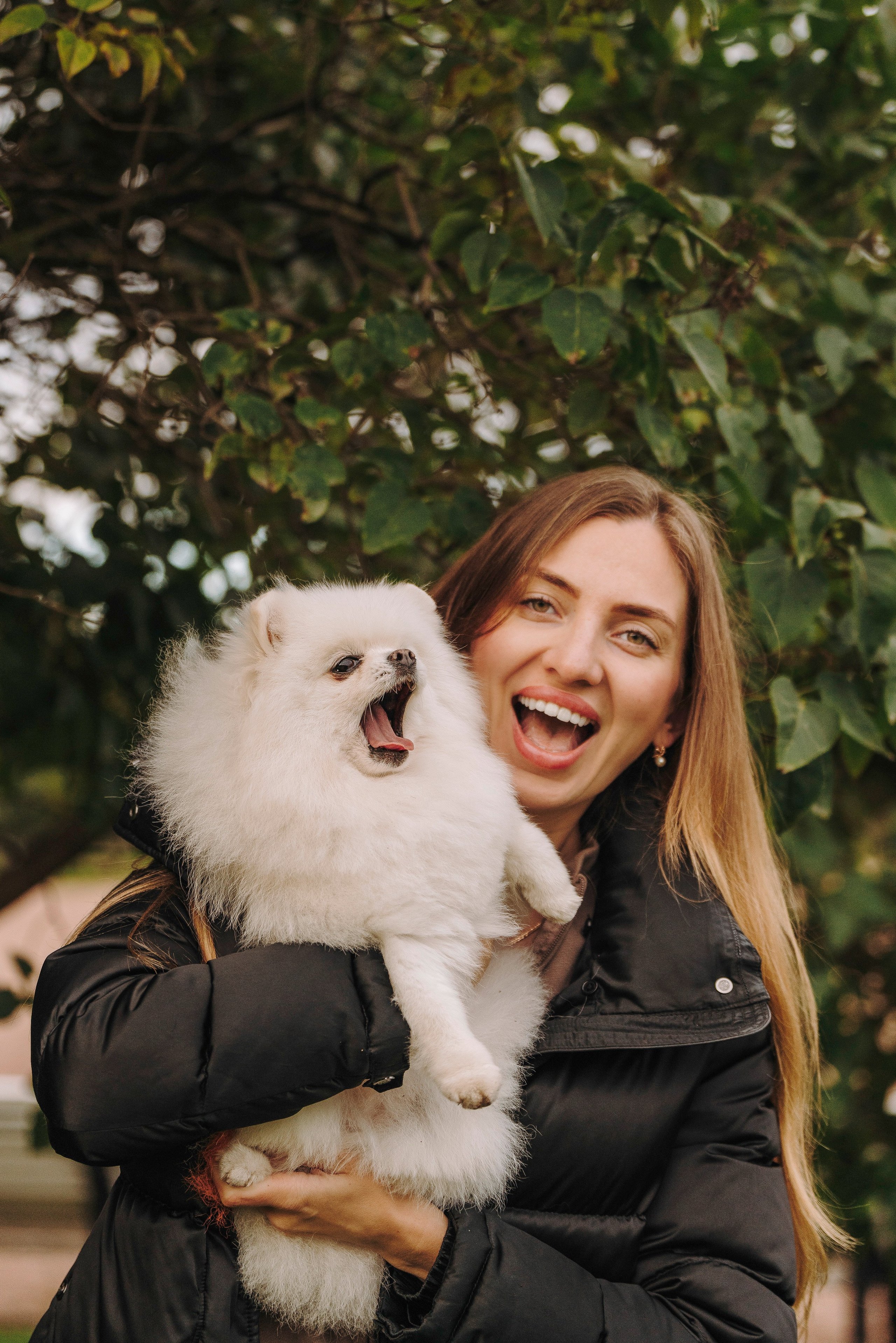 Фотосессия с померанским шпицем. Фотограф анималист в Спб недорого Олеся Майорова