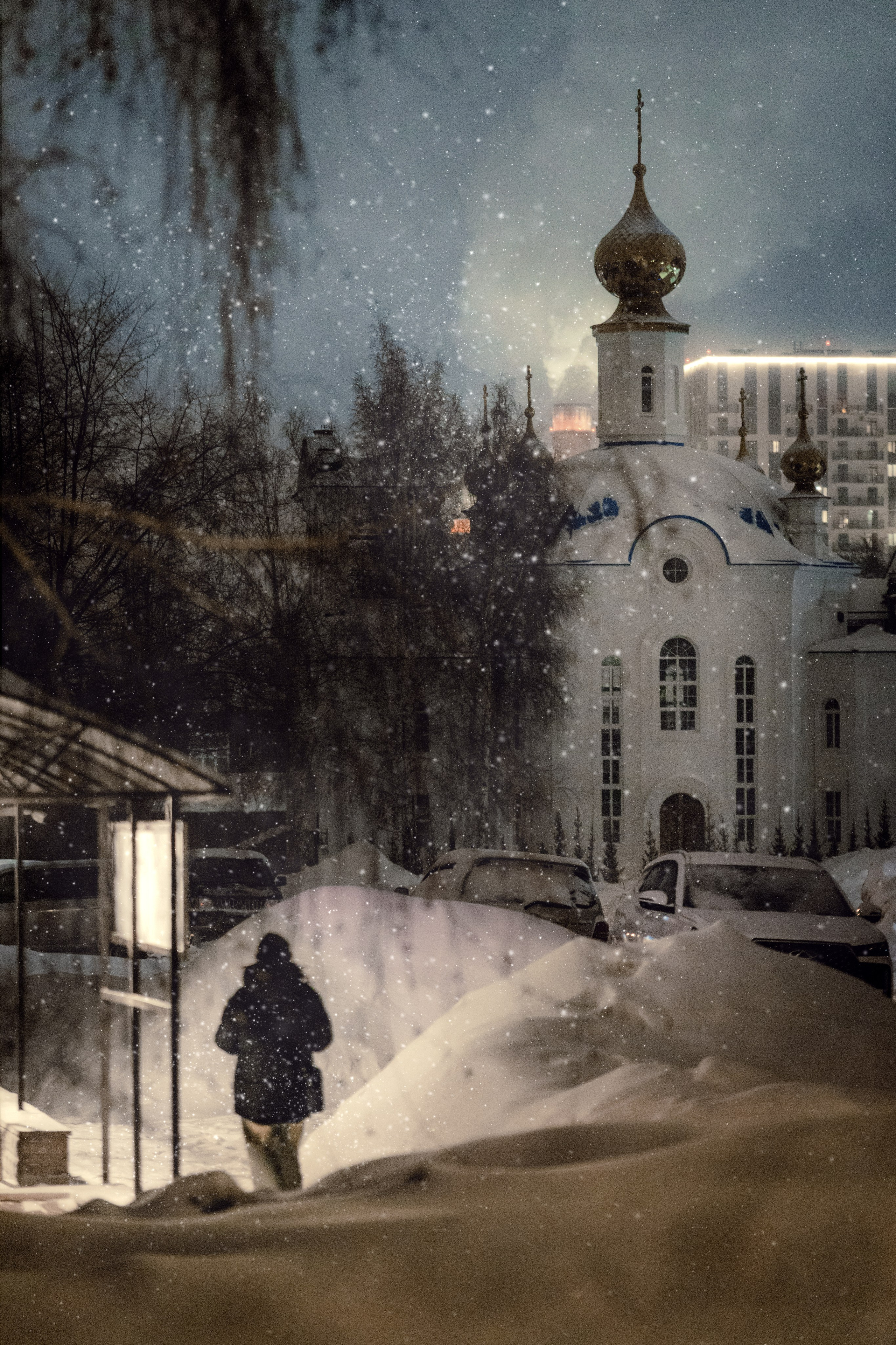 StreetPhoto. Foto-petrovsky.ru