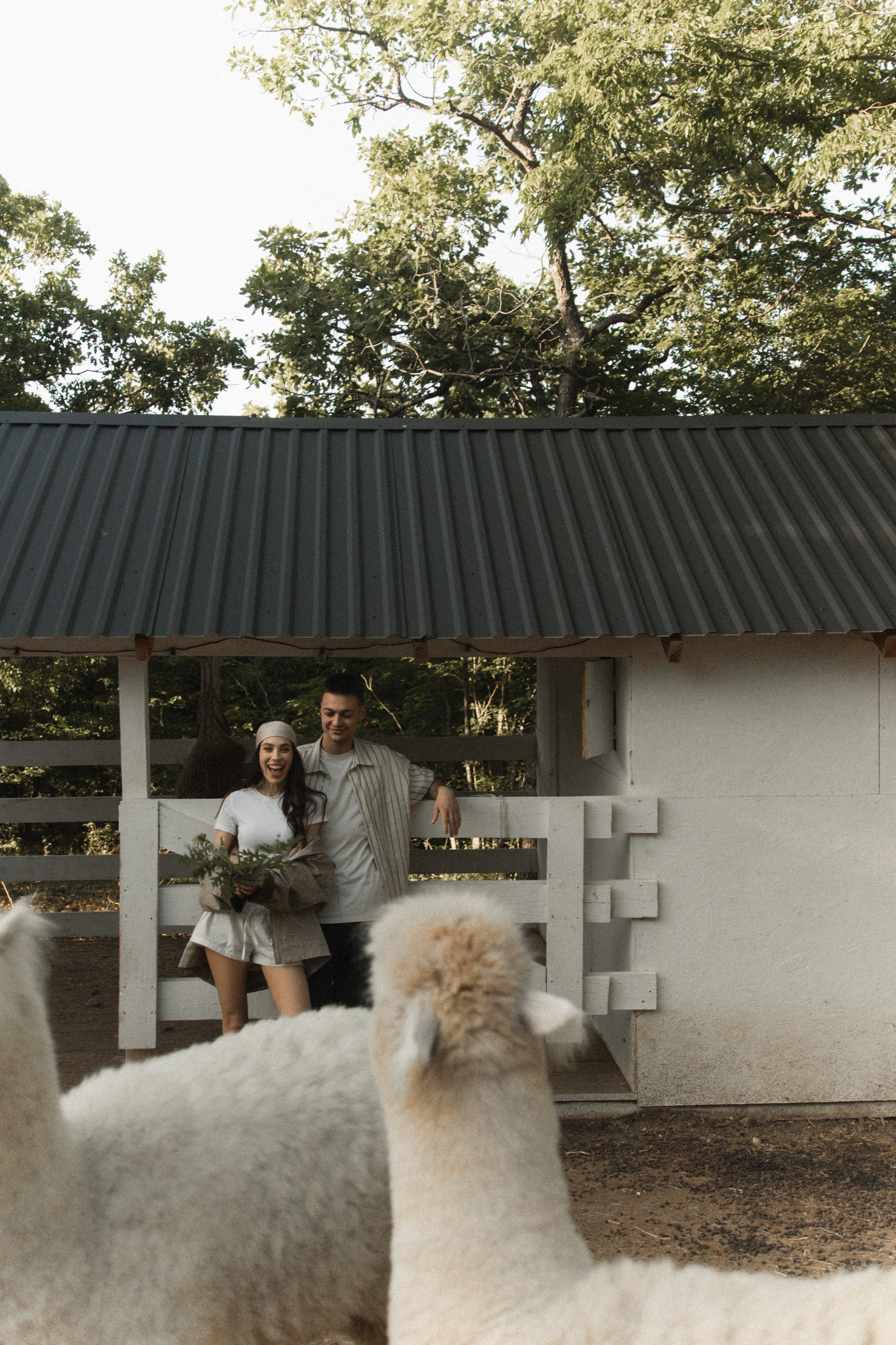 Андрей и Даша. Свадебный фотограф в Севастополе и Крыму. Видеограф на свадьбу Крым, Севастополь, Ялта, Симферополь