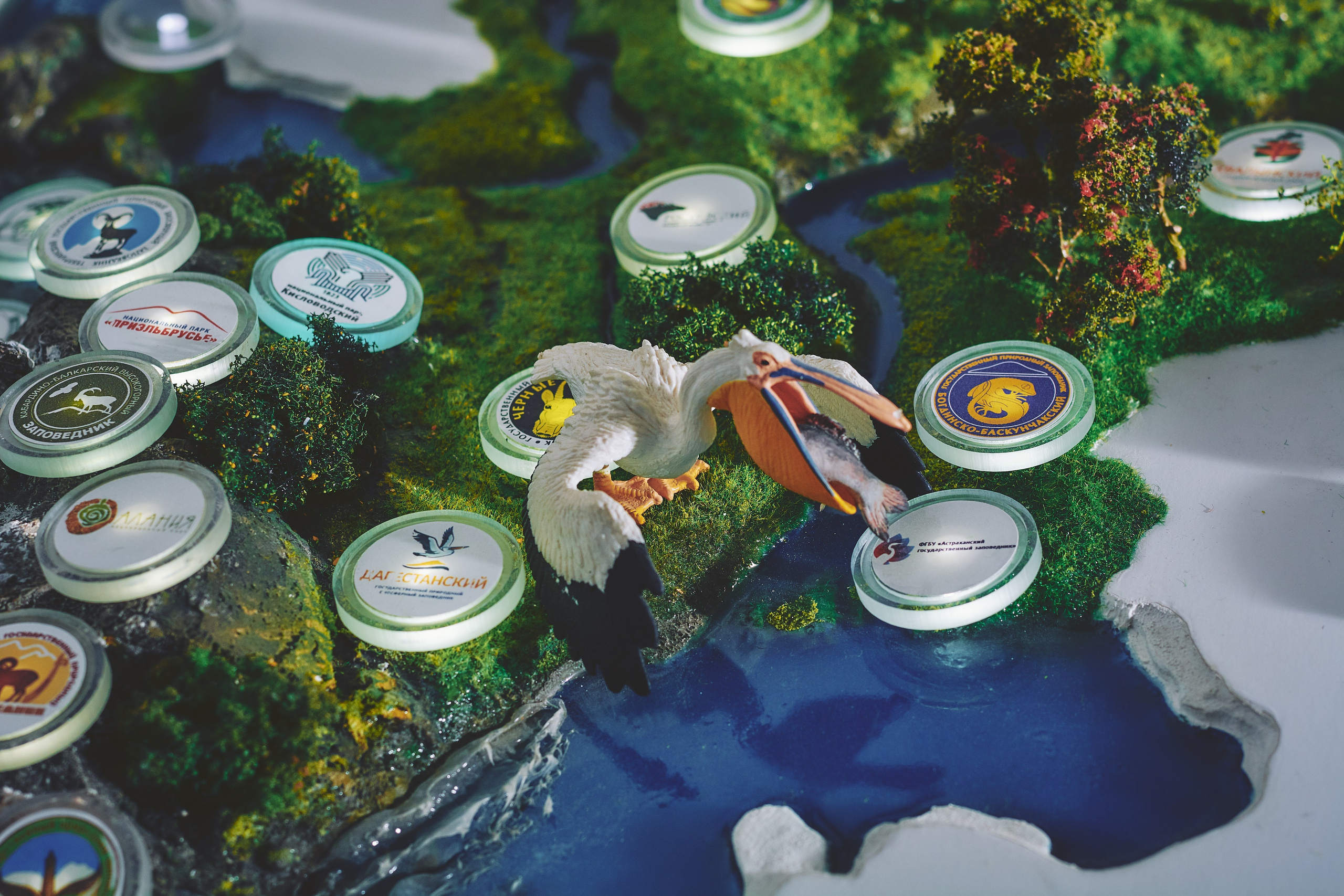 Интерьерная съемка Визит-центр Национальный парк «Кисловодский». Константин Кордонский | Интерьерный и food-фотограф в Кисловодске и КМВ