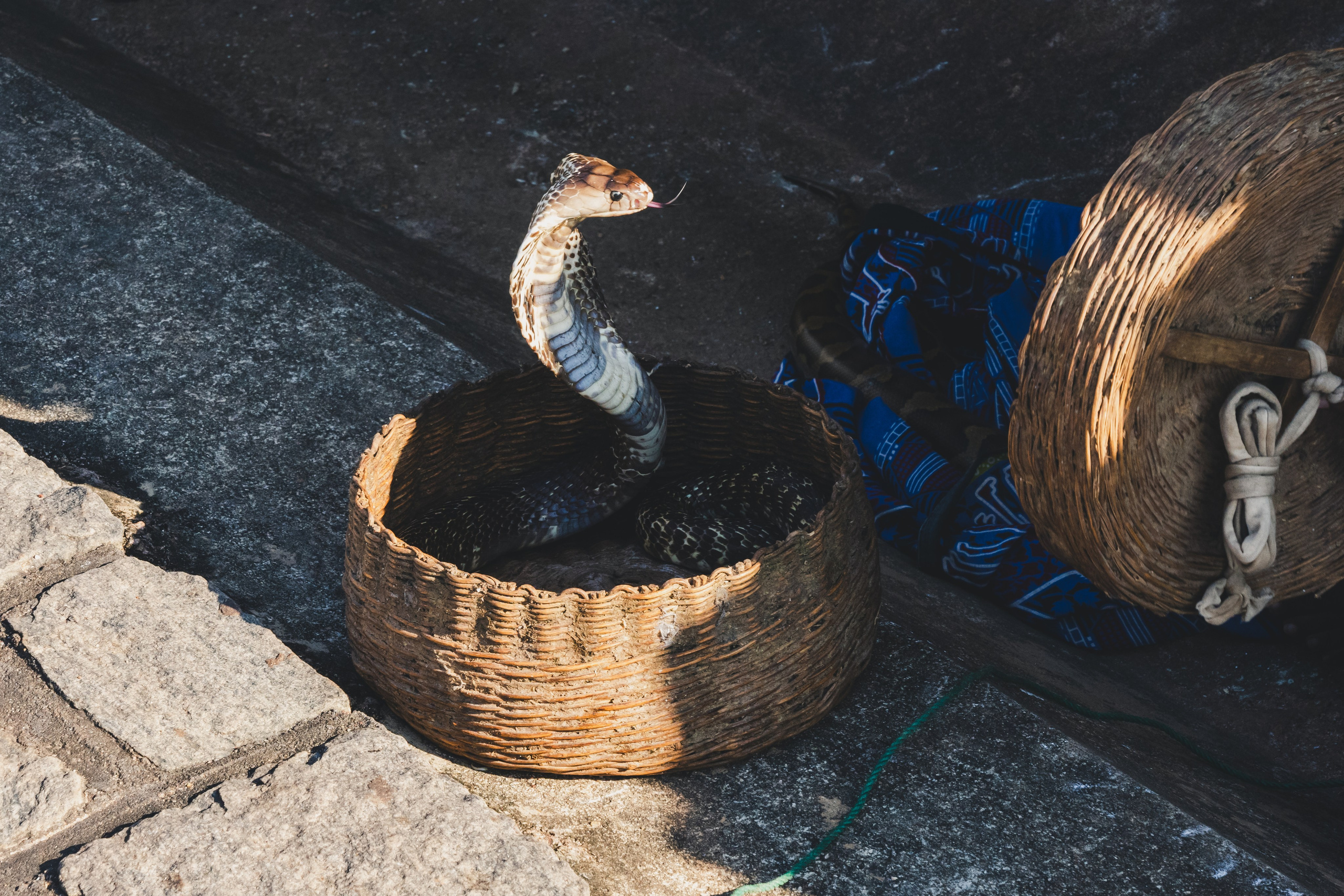 Шри-Ланка 2025. Легкая фотография
