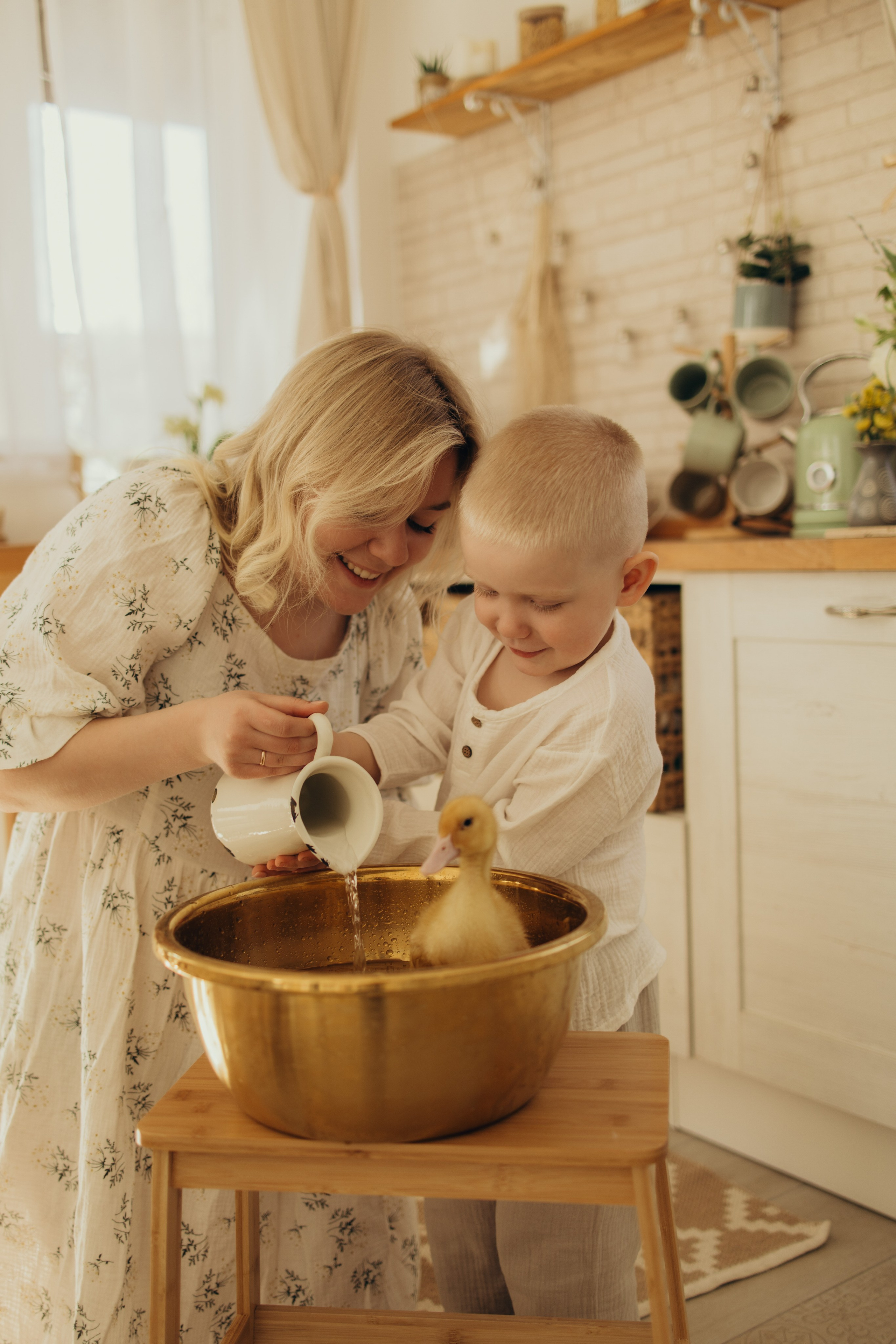 Уютный мир. Фотограф Сотникова Вероника