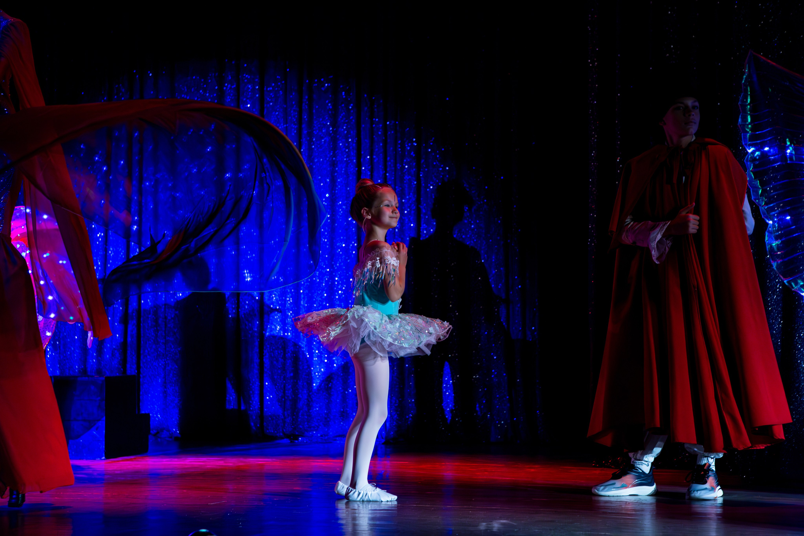 Концерты. Анна Епихина фотограф Москва, Балашиха