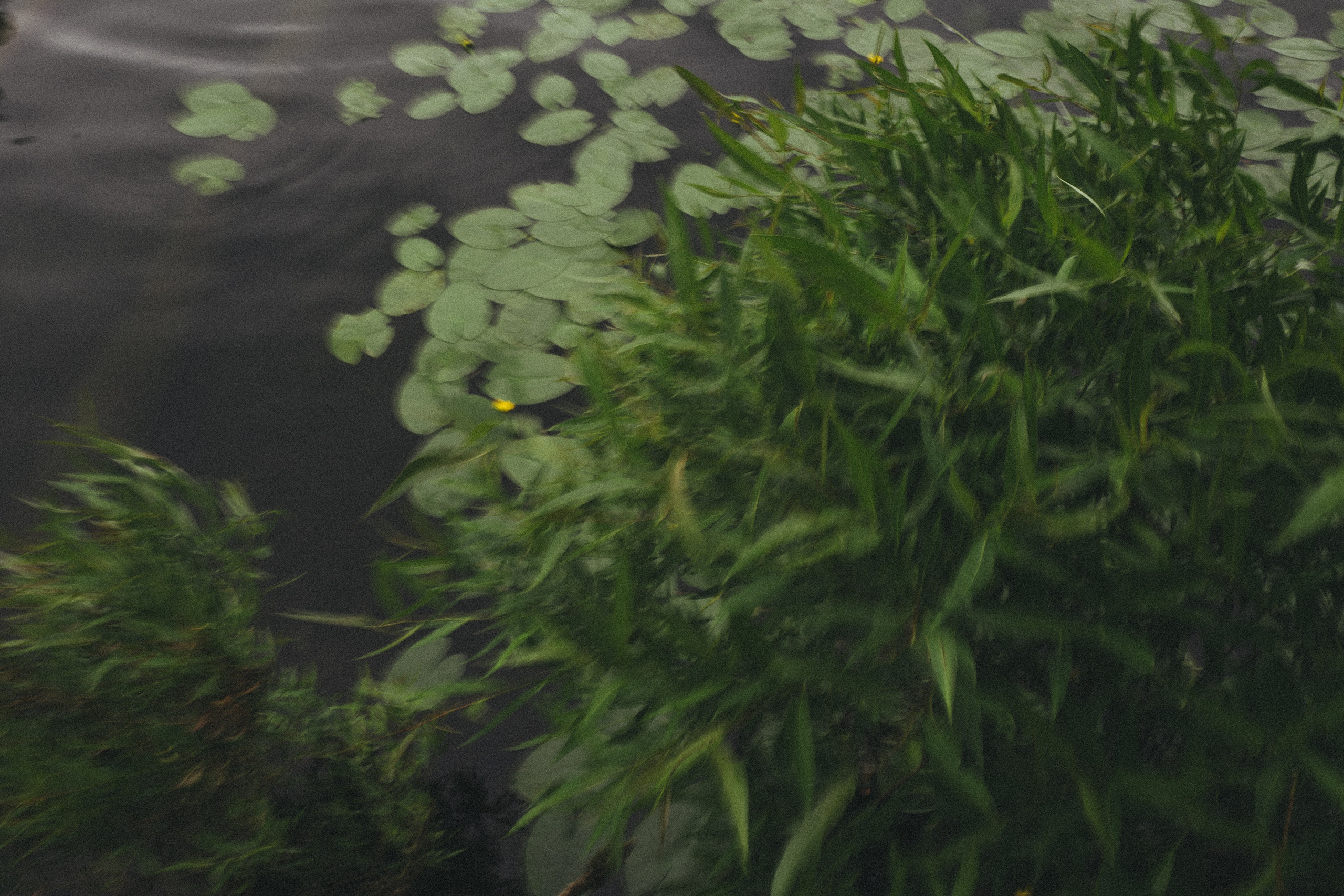 Happy Birthday, Alina ♥️. <3