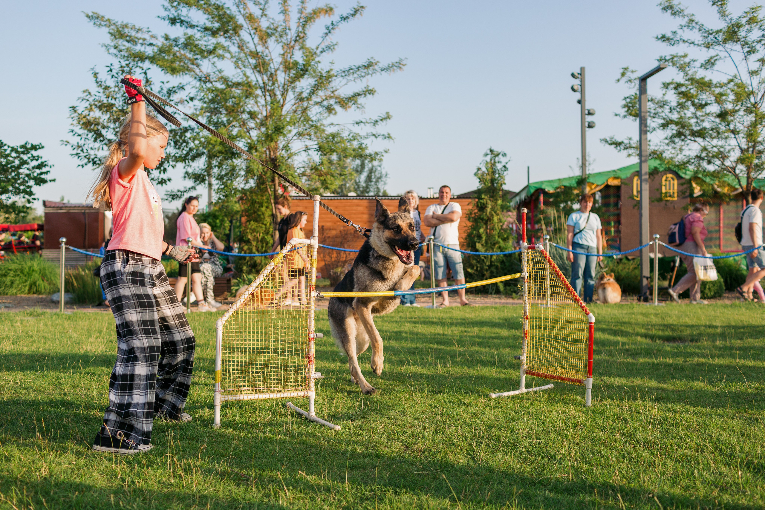 Dog Fest 2024. Главная