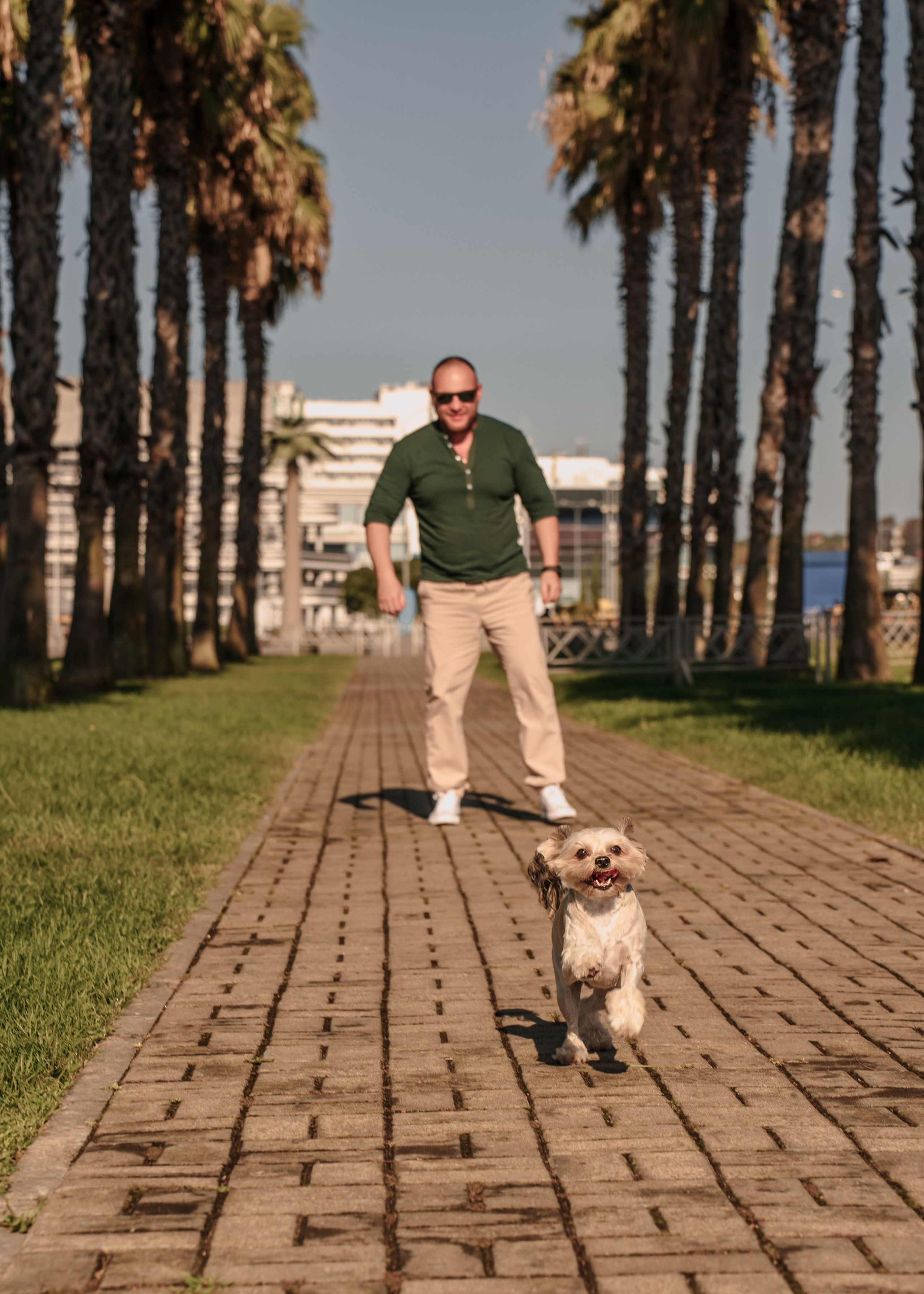 Фотосессия беременных, семейная с детьми и животными в Сочи, Адлере. Алина Бернд — свадебный и индивидуальный фотограф в Сочи и Адлере