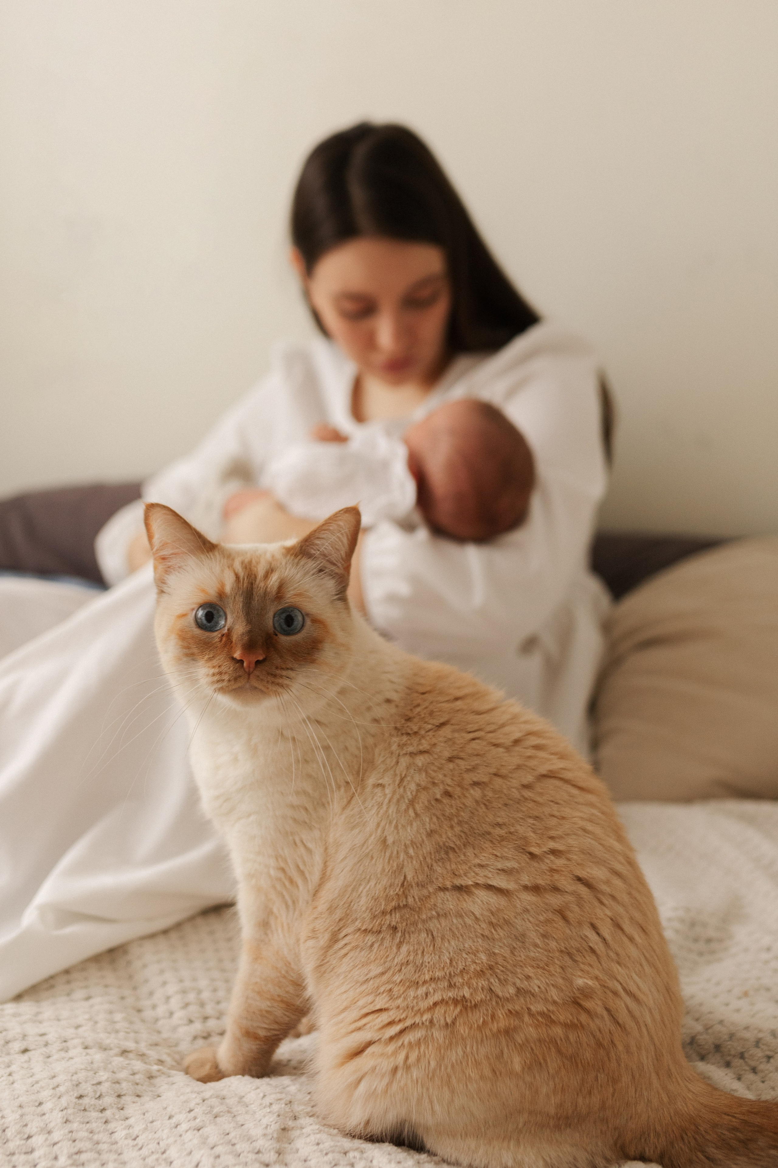 И&А&А. Фотограф Оля Климова, обучение фотографов