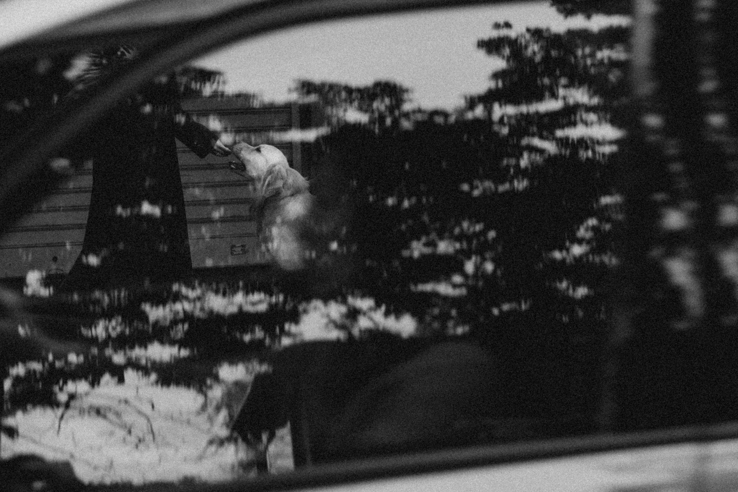 C’est entre nous. Photographe à Paris