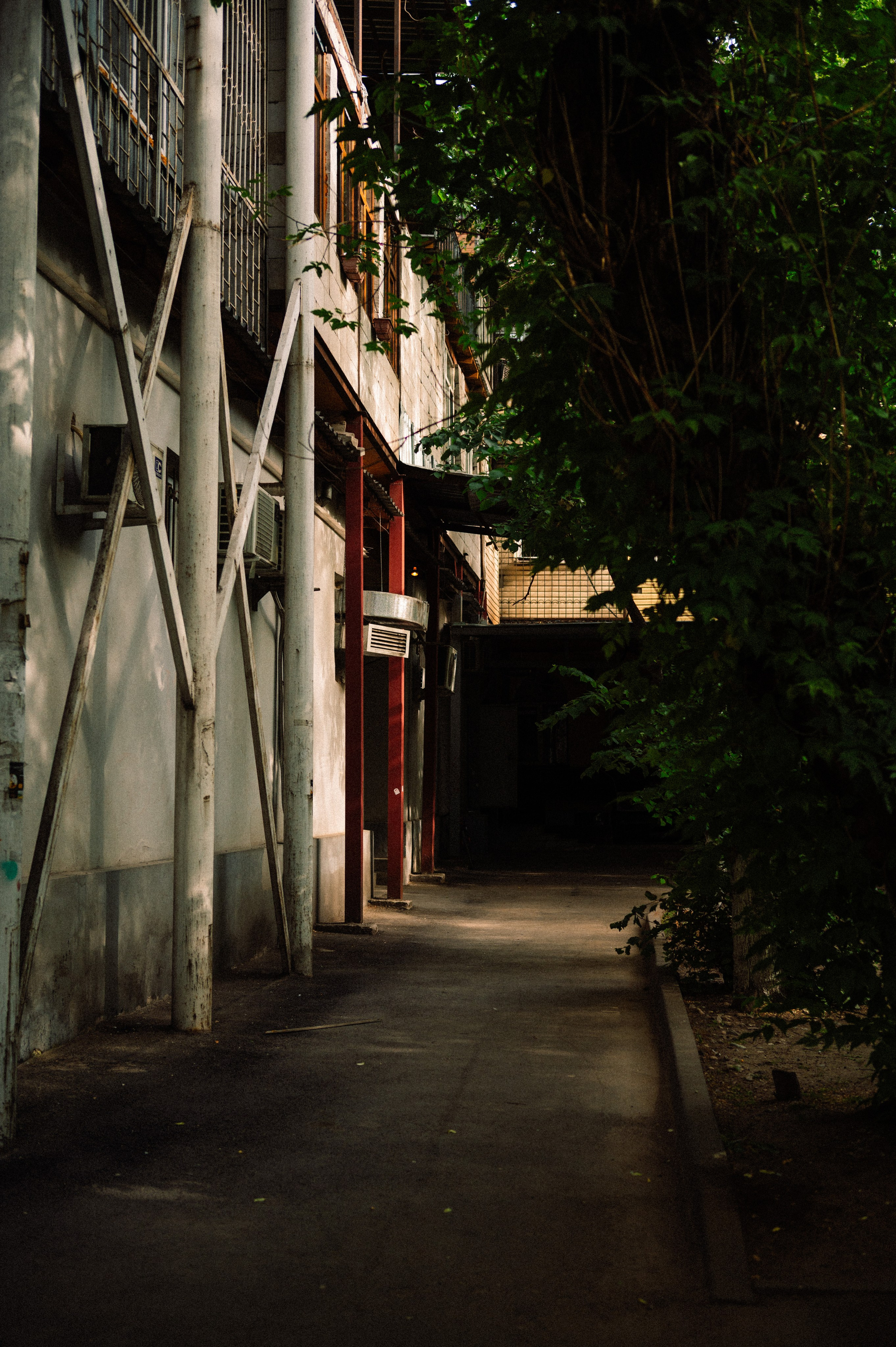 Стрит: Алматы, лето 2025. Фотограф в Алматы — Дарья Фёдорова