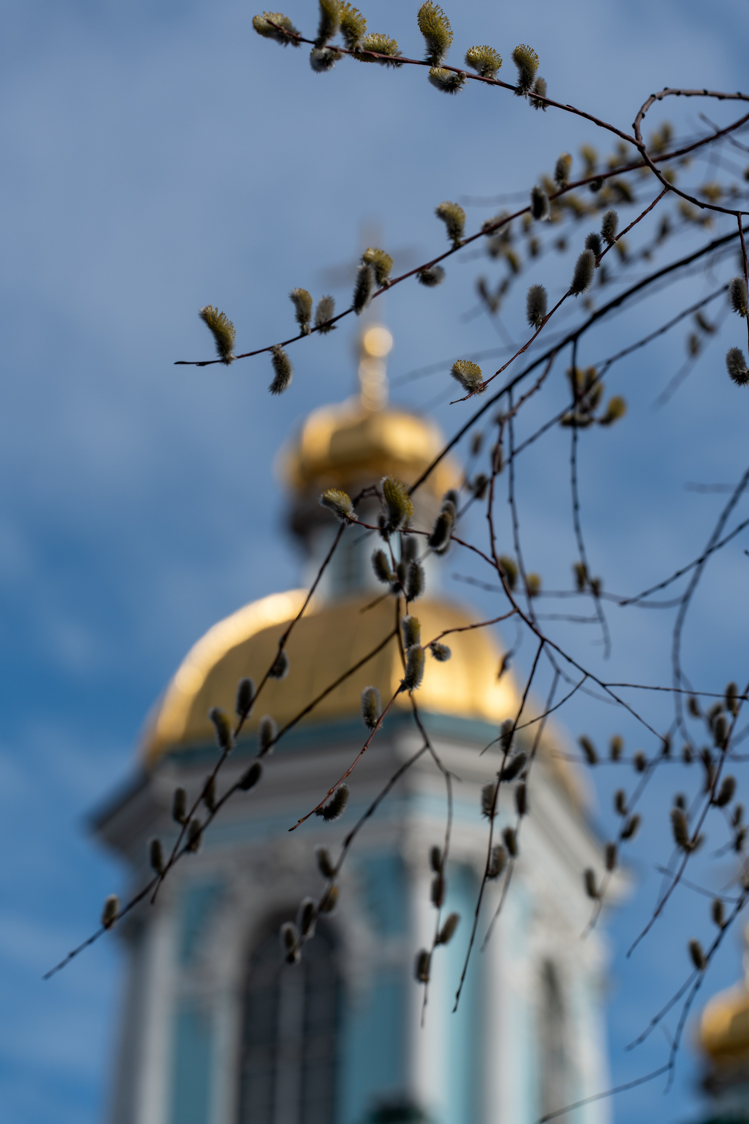 Неделя ваий (цветоносная, Вербное воскресение). ВХОД ГОСПОДЕНЬ ВО ИЕРУСАЛИМ. НИКОЛО-БОГОЯВЛЕНСКИЙ МОРСКОЙ СОБОР