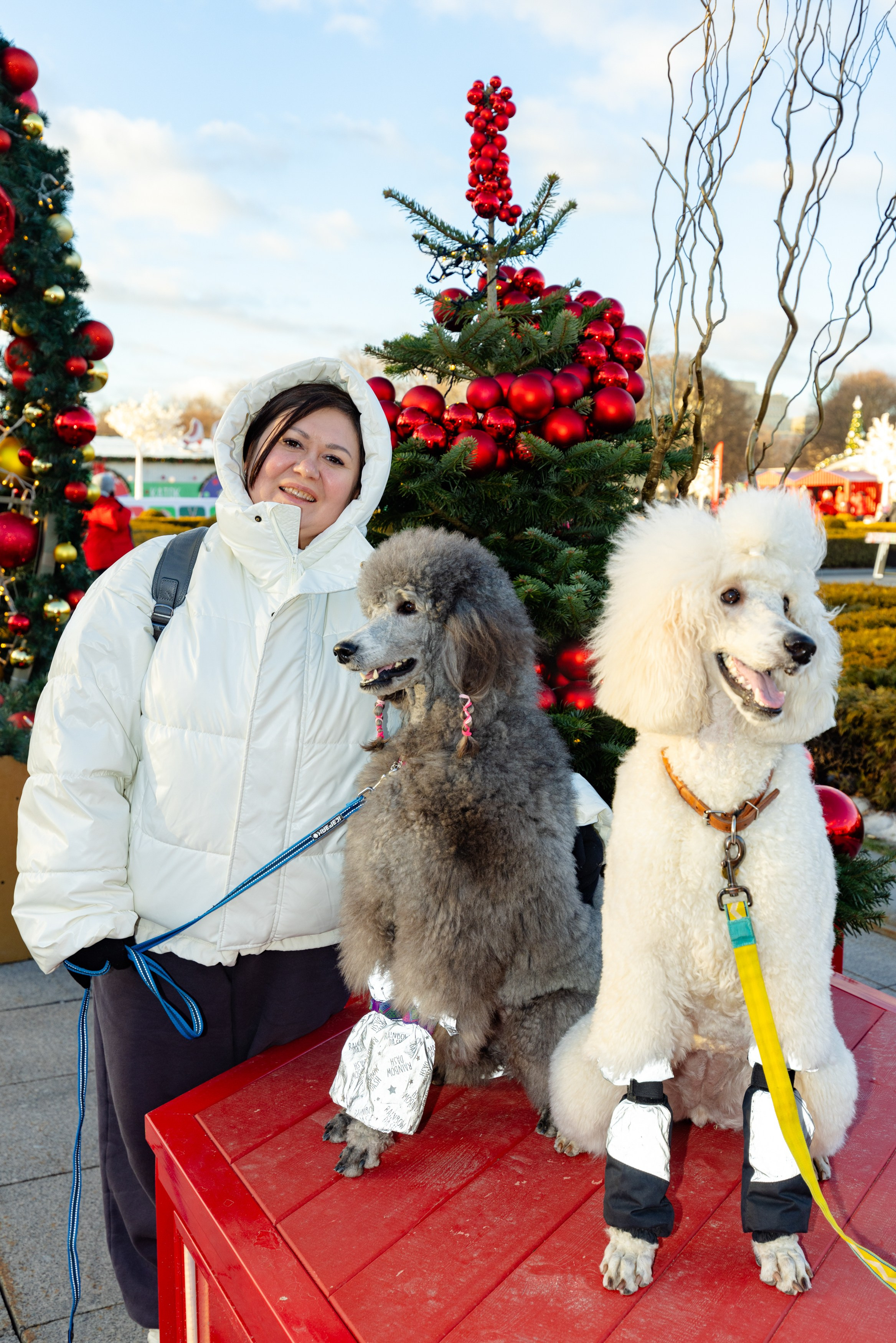 Клуб грумеров (прогулка и семинары). Виктория Зудина — фотограф в Москве