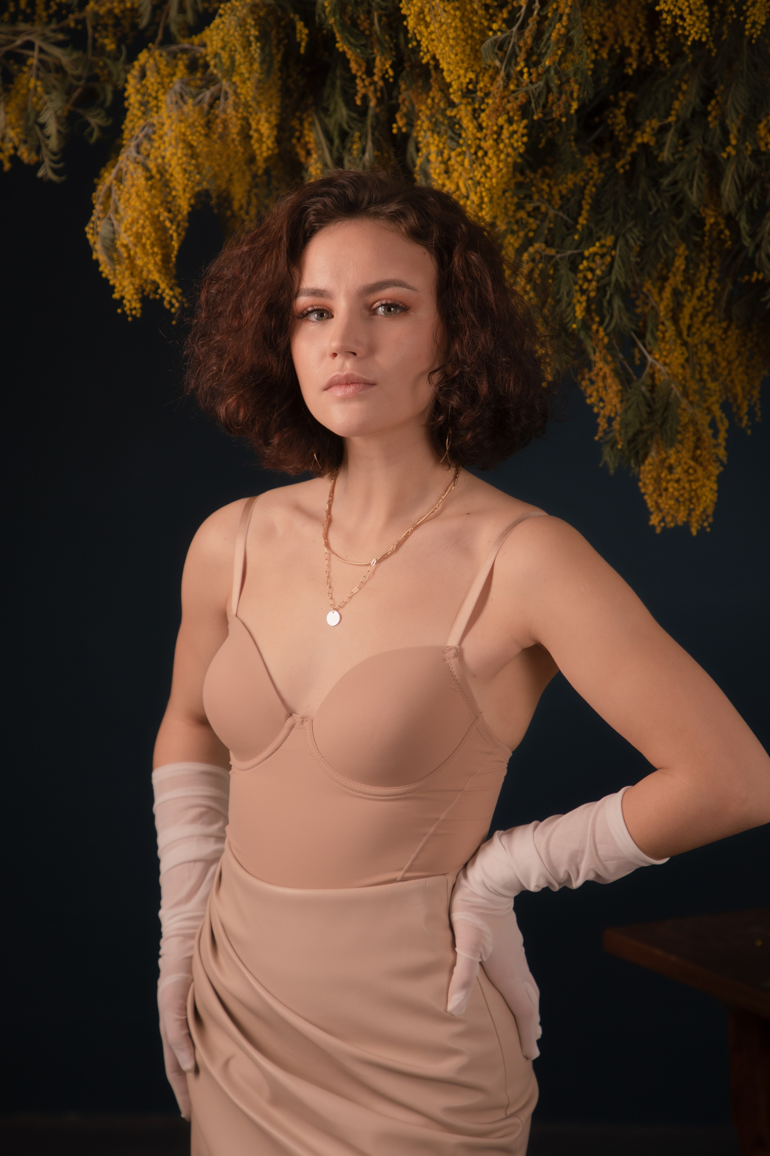 Мимозы. Фотограф Алексей Шуля — портфолио