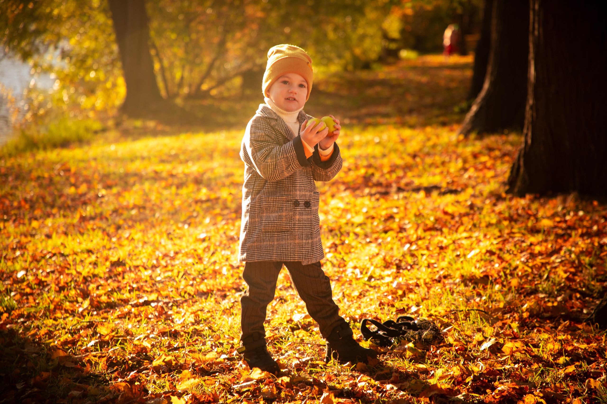 Осень. Фотограф Алексей Шуля — портфолио