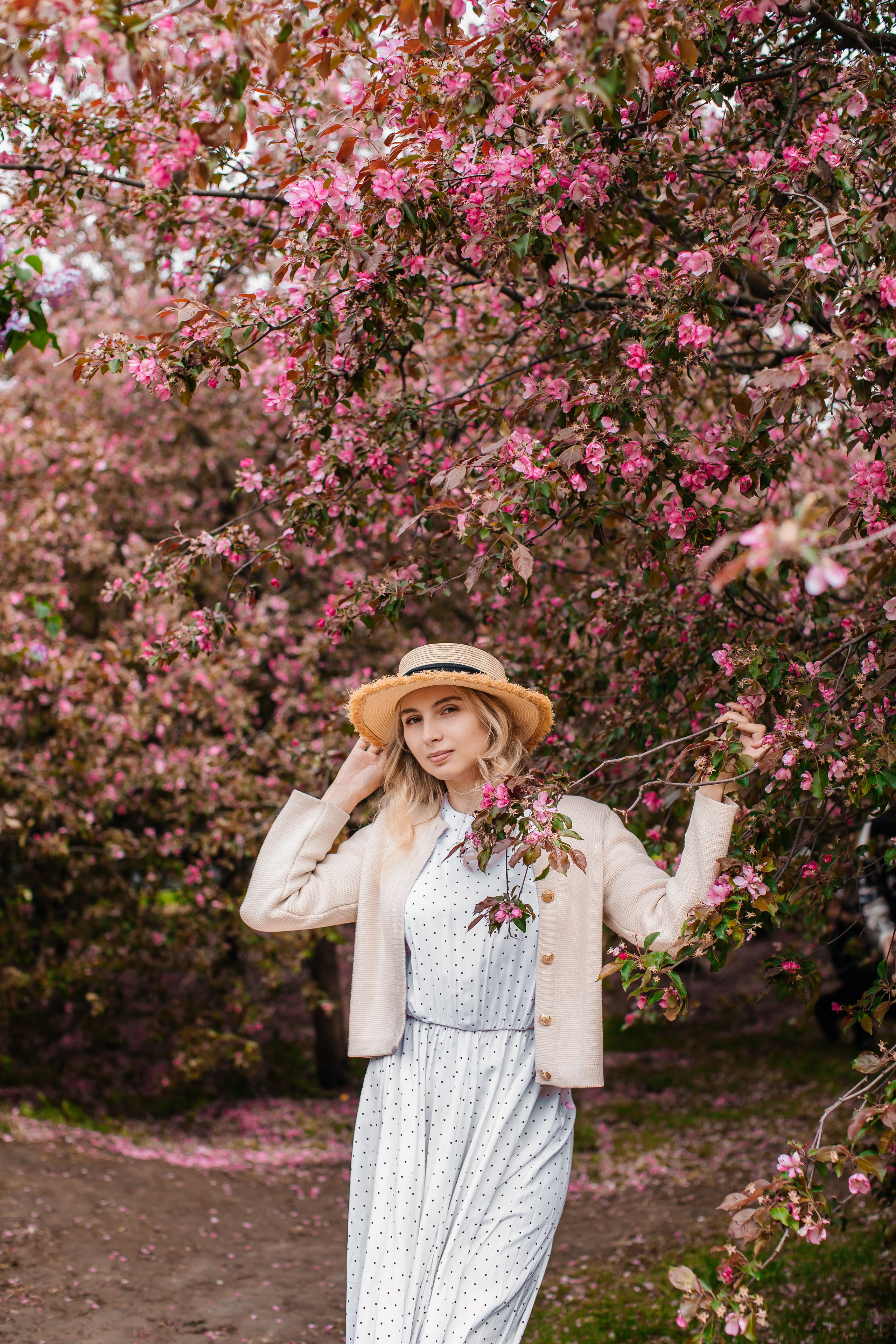 Цветение. Анастасия Давыдова