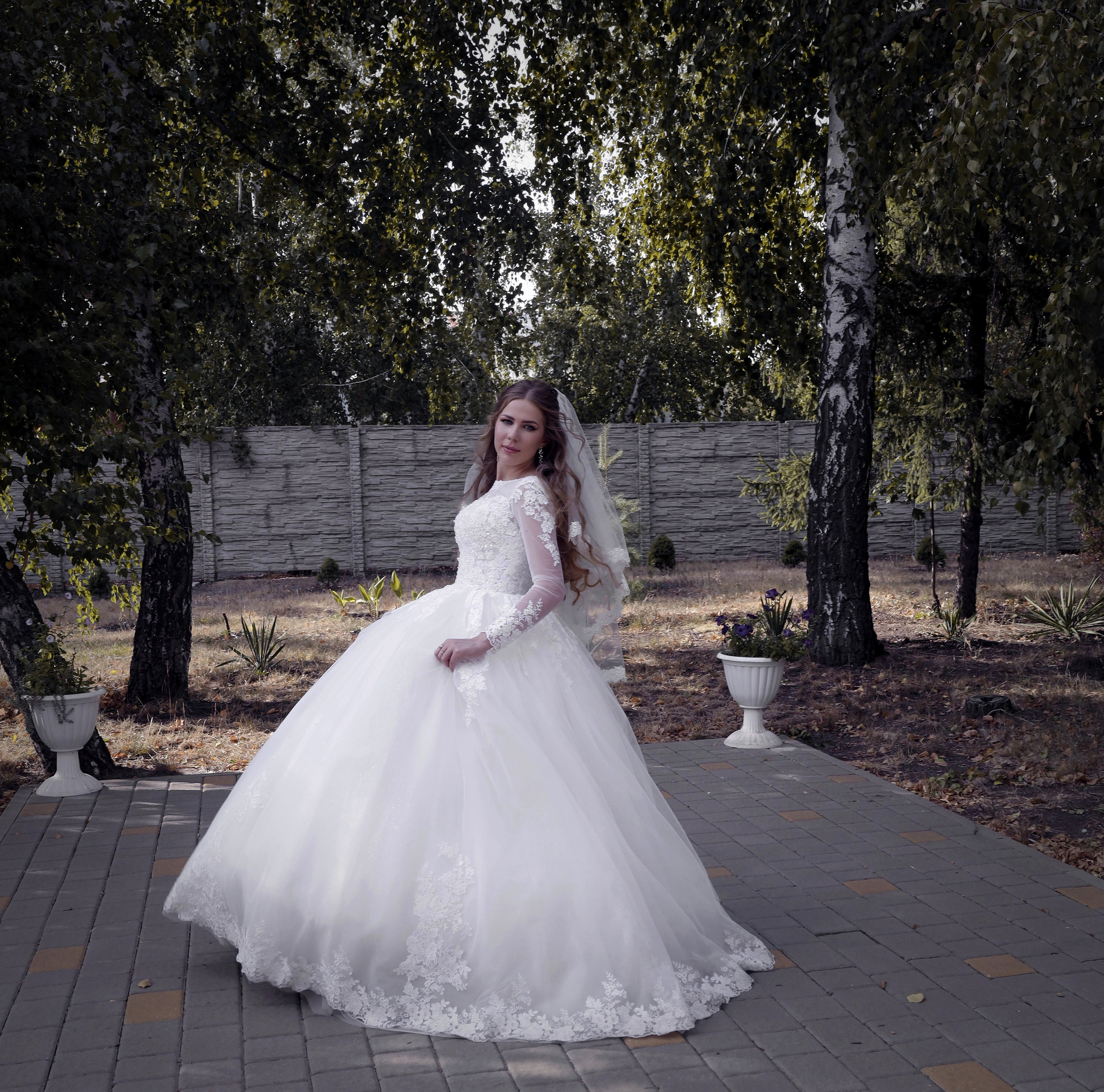 Алина и Дмитрий г. Шахты 31 августа 2024. Свадебный фотограф ростовская область