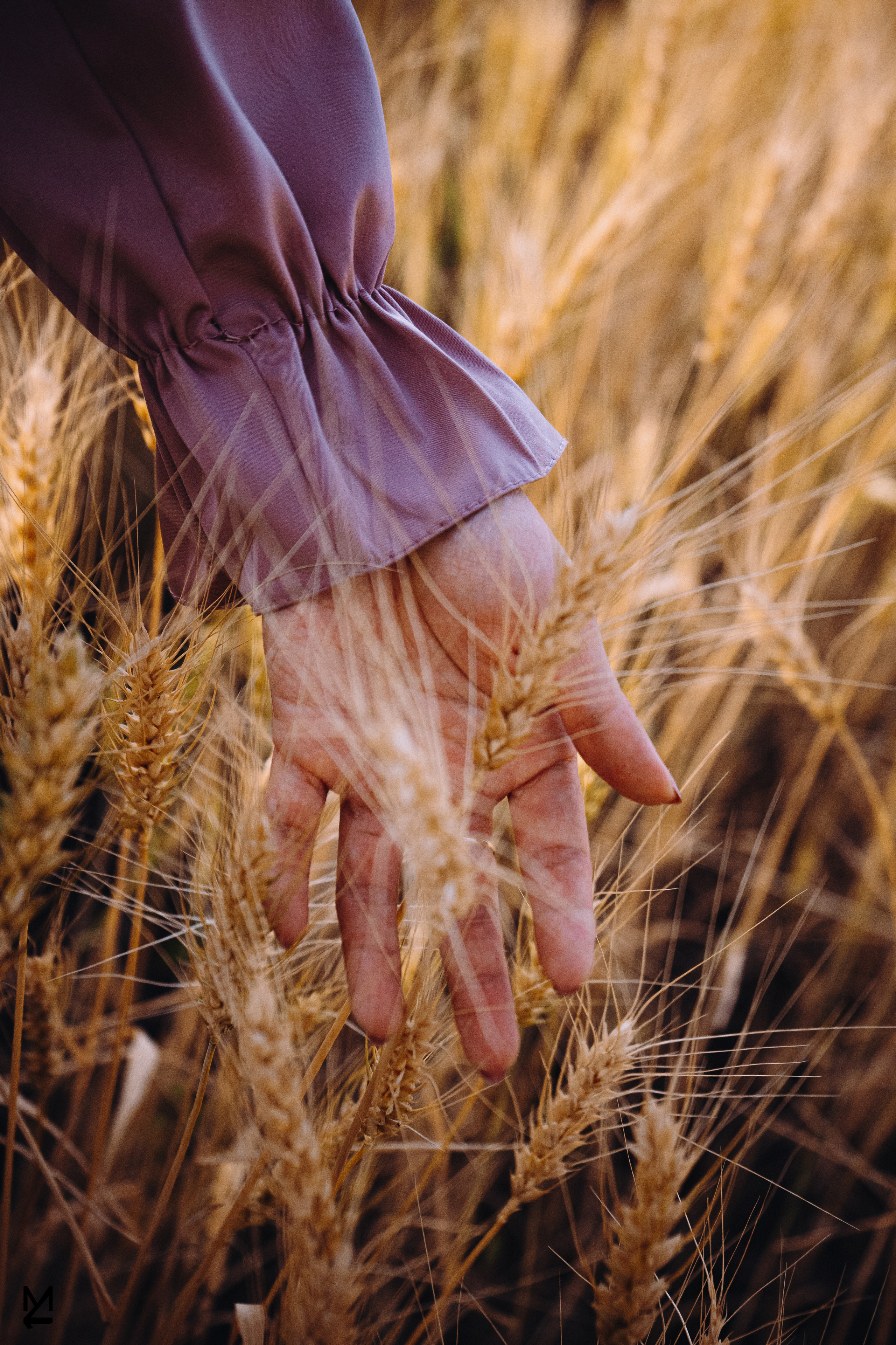 Аfield. Жданов Максим — Фотограф