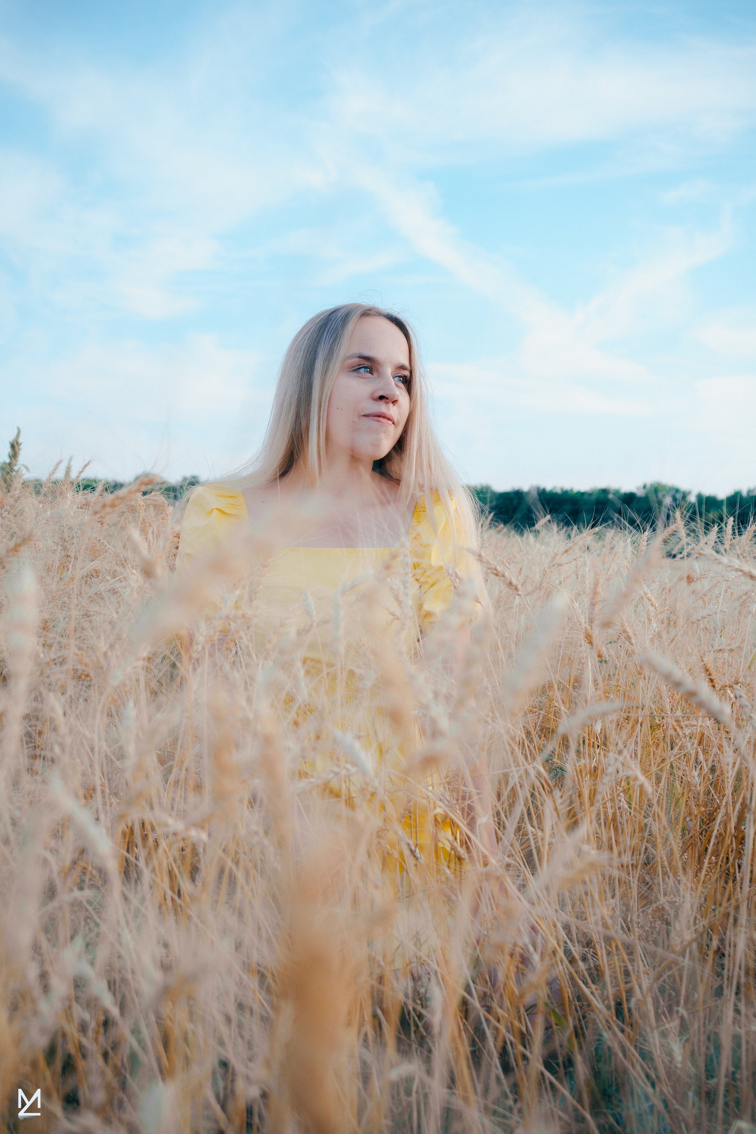 Аfield. Жданов Максим — Фотограф