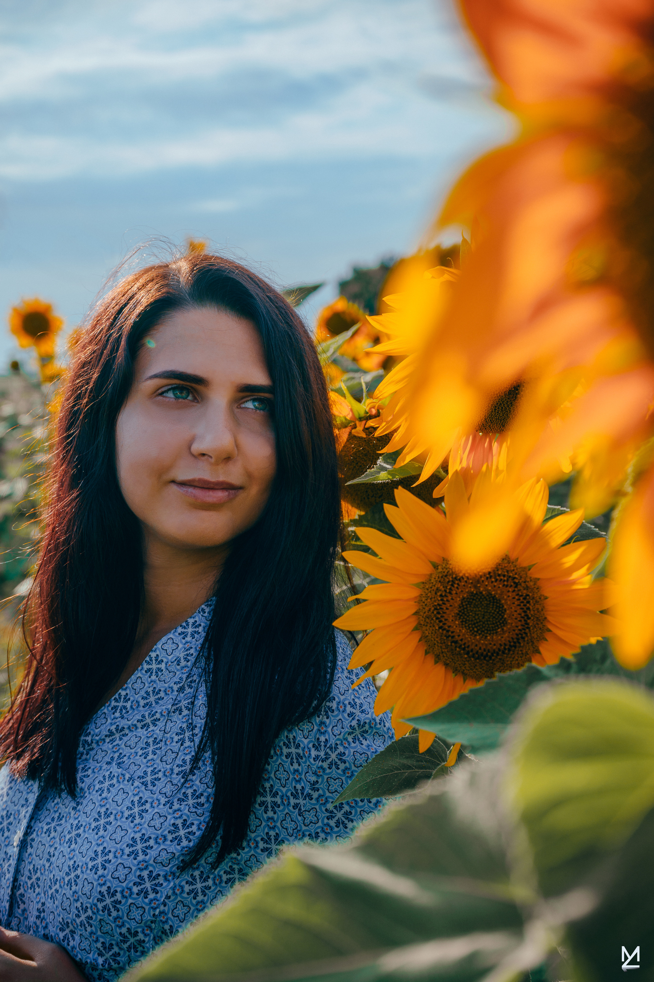 Аfield. Жданов Максим — Фотограф