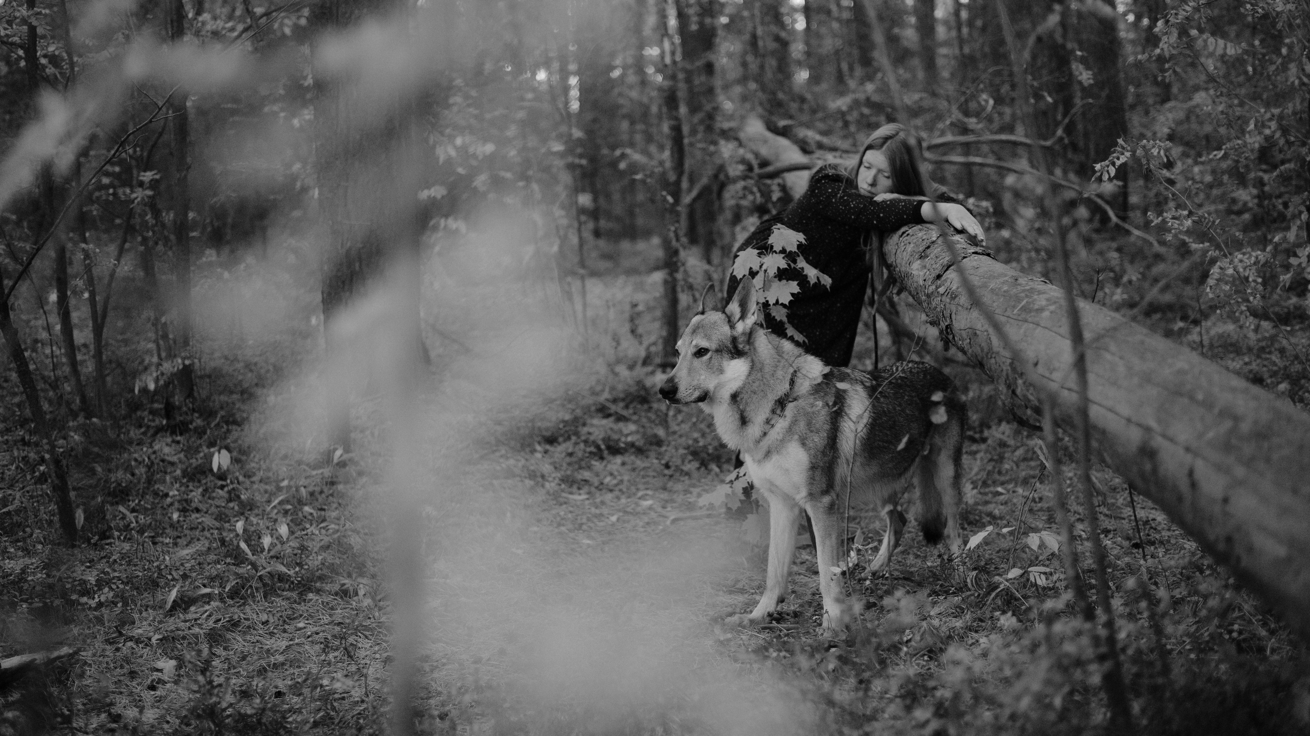 Полина и Вегард. Фотограф-анималист Богданова Полина