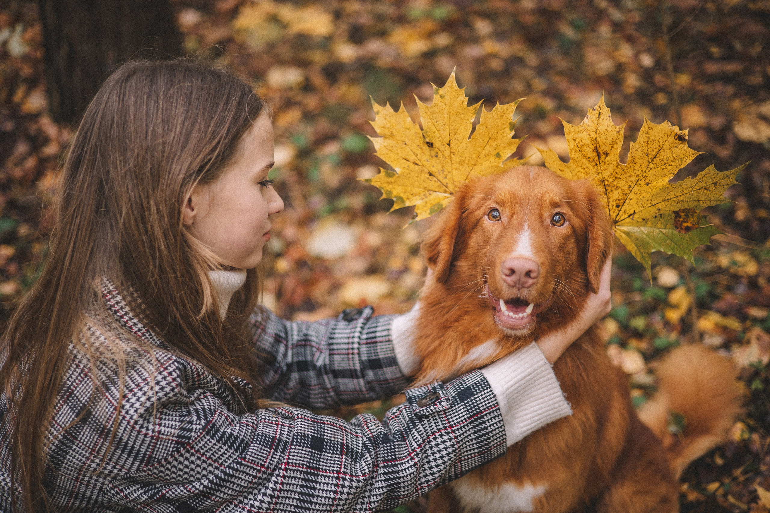 Алина и Бис. Фотограф-анималист Богданова Полина