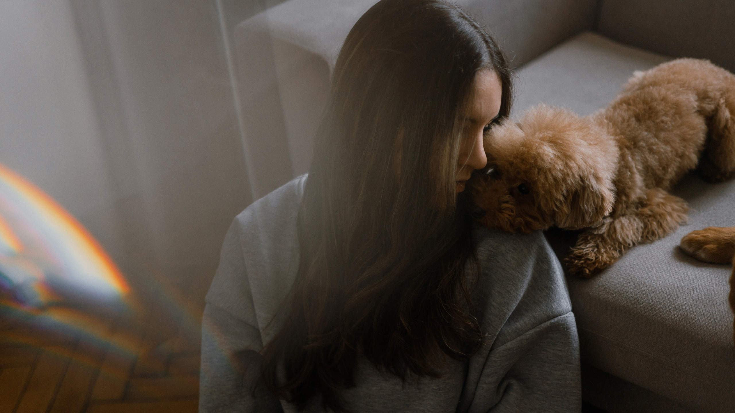 Маша, Одди и Нэвил. Фотограф-анималист Богданова Полина