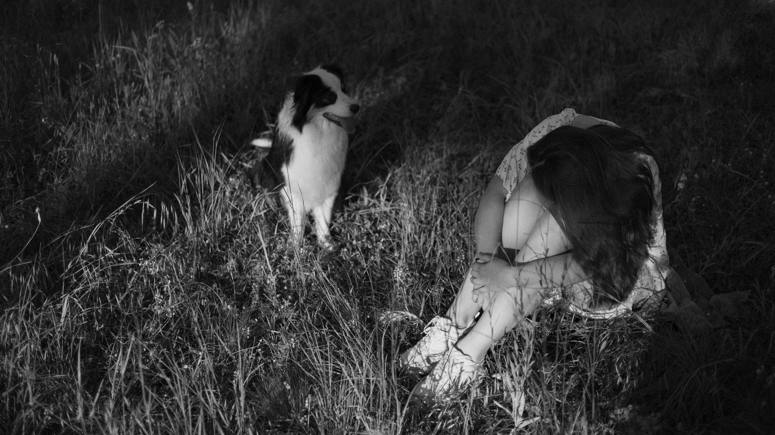 Ира и Джесс. Фотограф-анималист Богданова Полина