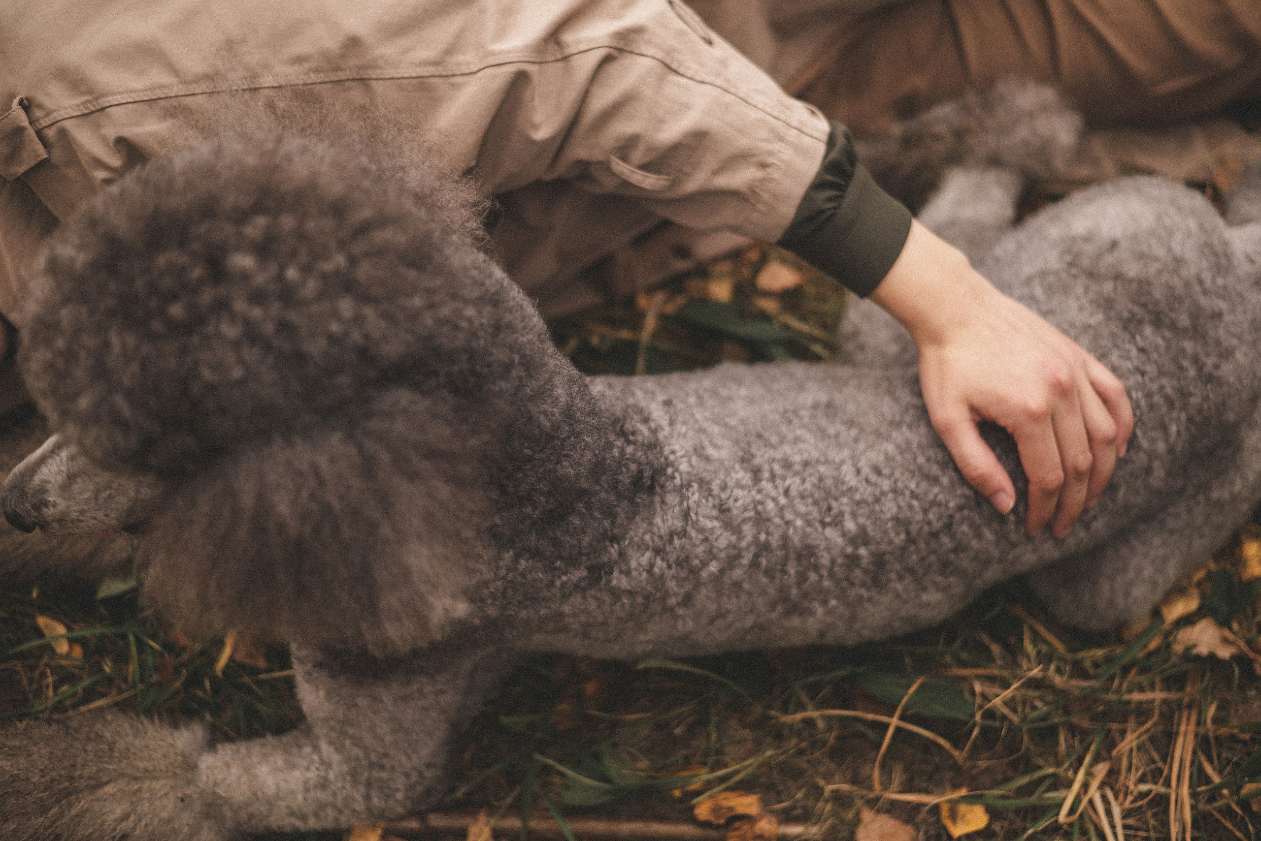 Алёна и Смоки. Фотограф-анималист Богданова Полина