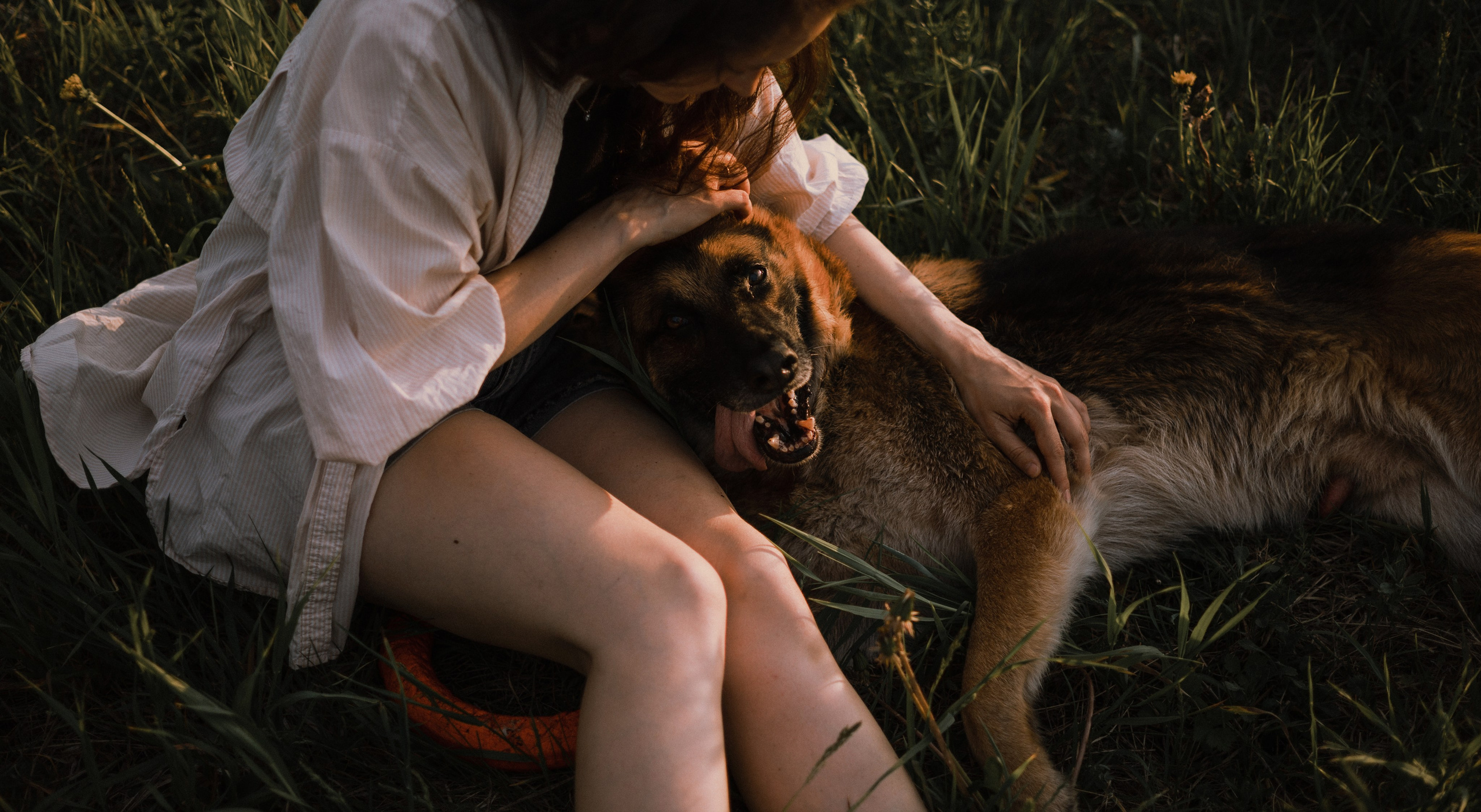 Настя, Шуня, Милка и Тигуан. Фотограф-анималист Богданова Полина