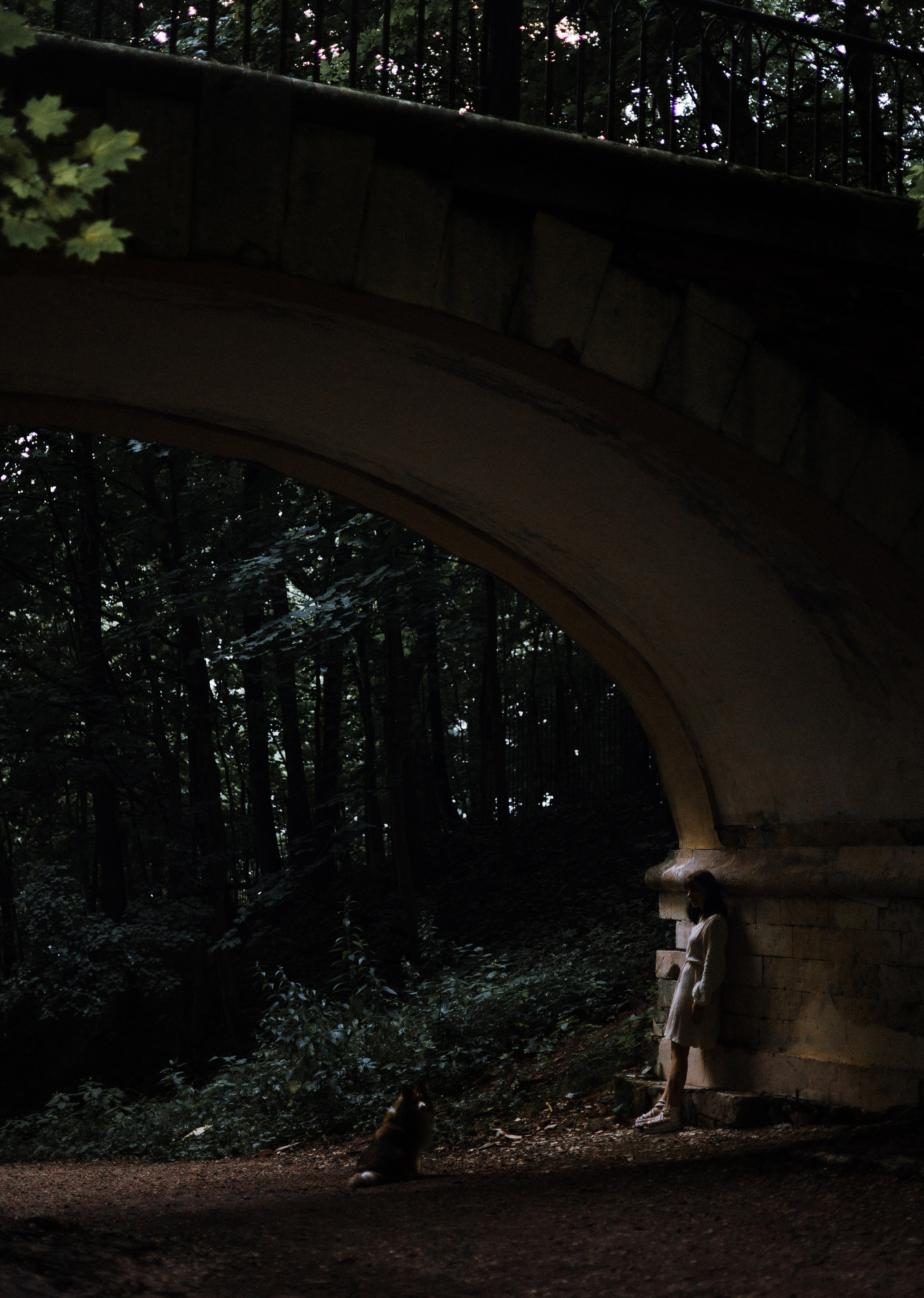 Аня и Скай. Фотограф-анималист Богданова Полина