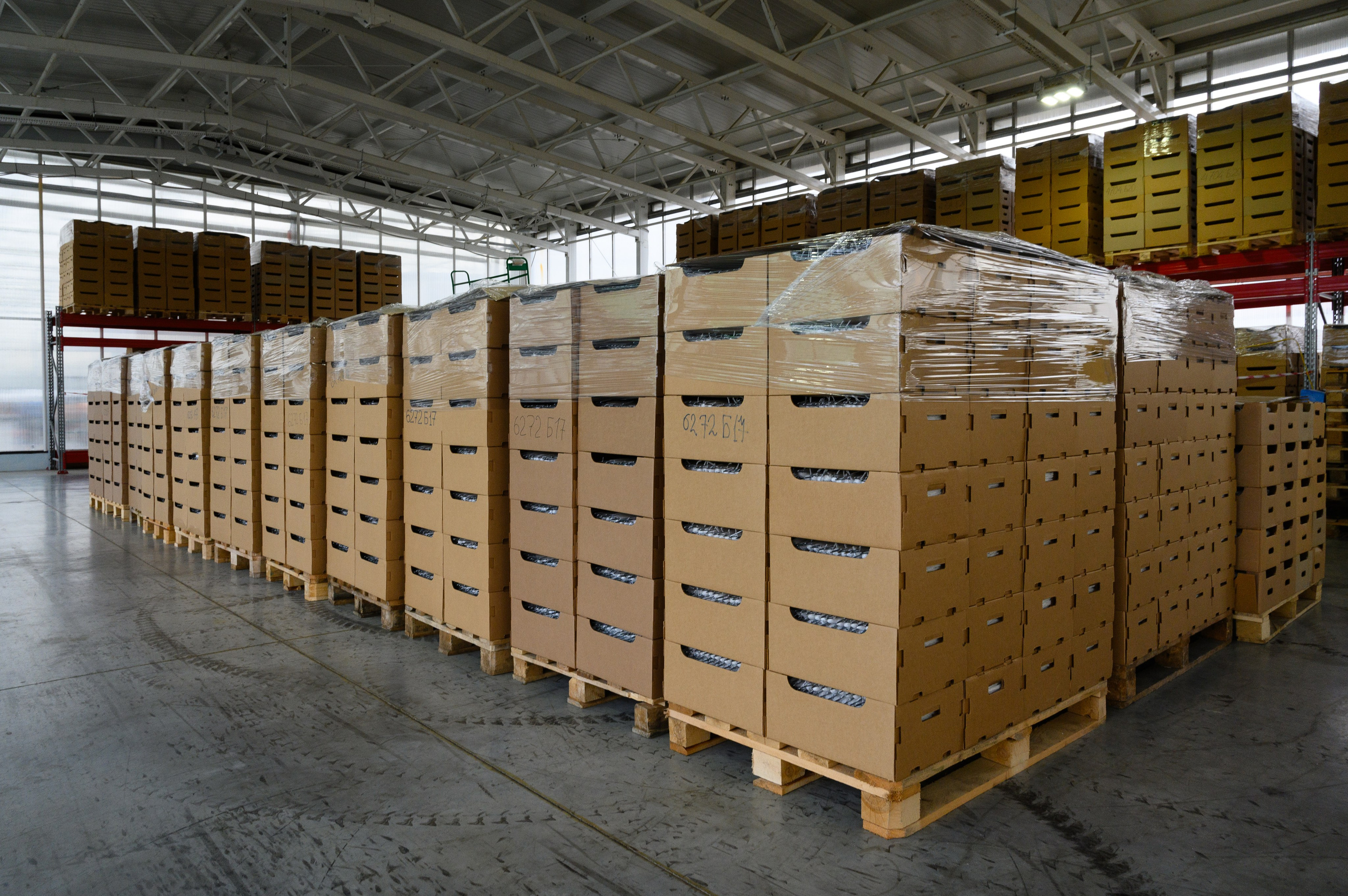 Тепличный комплекс «ПЕРМСКИЙ»