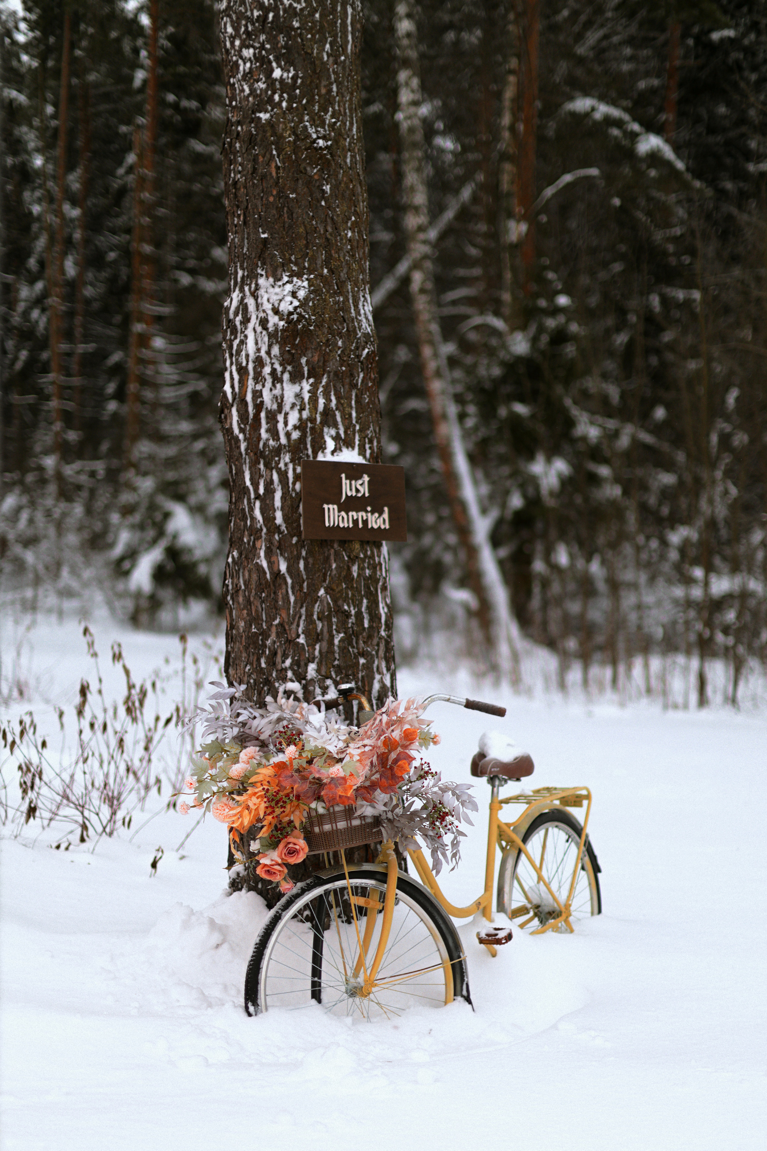 ☀️ МОРОЗ 🔥. Свадебный фотограф в Москве Никифоров-Гордеев Константин