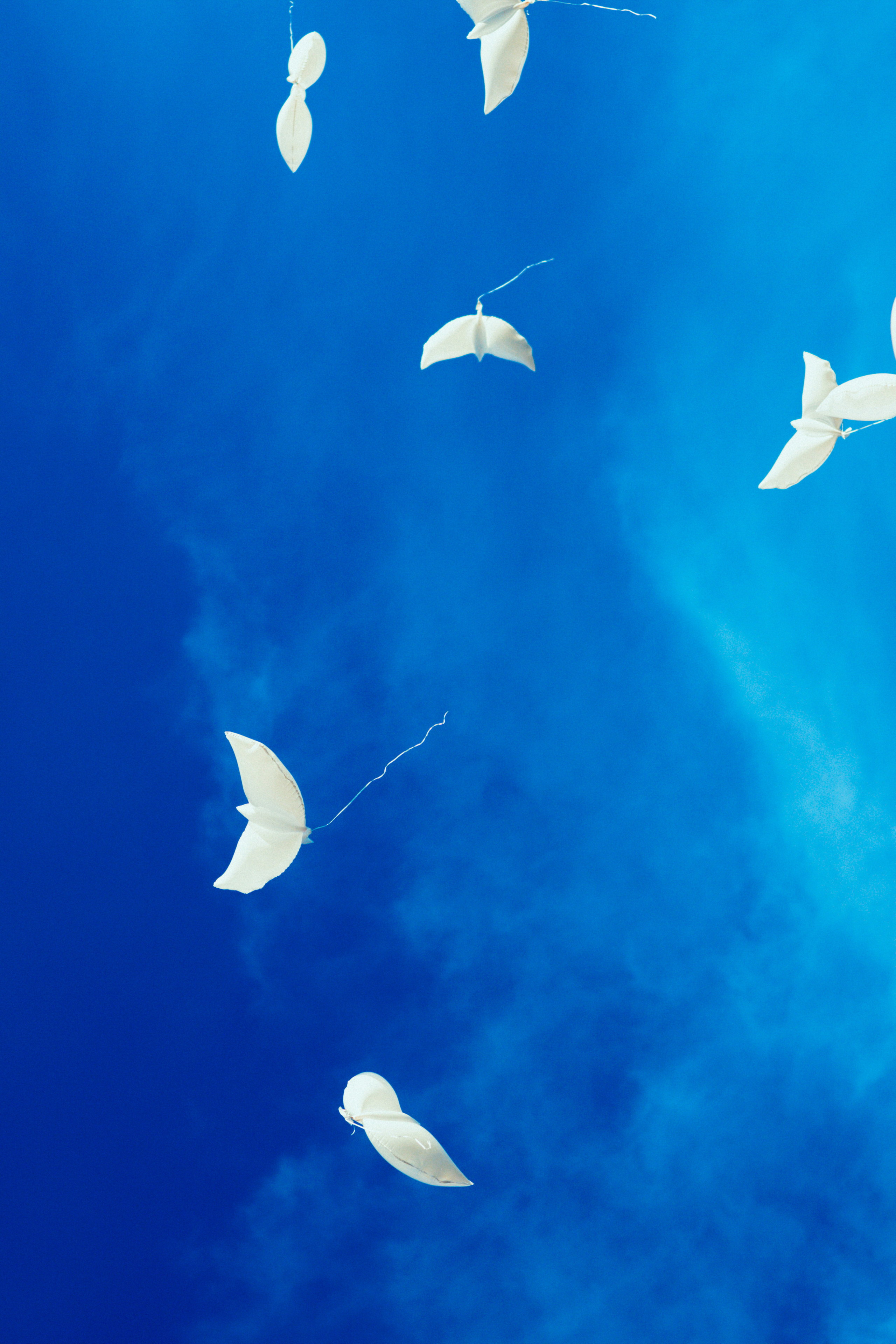 Выпуск 11-й класс. Свадебный фотограф в Москве Никифоров-Гордеев Константин