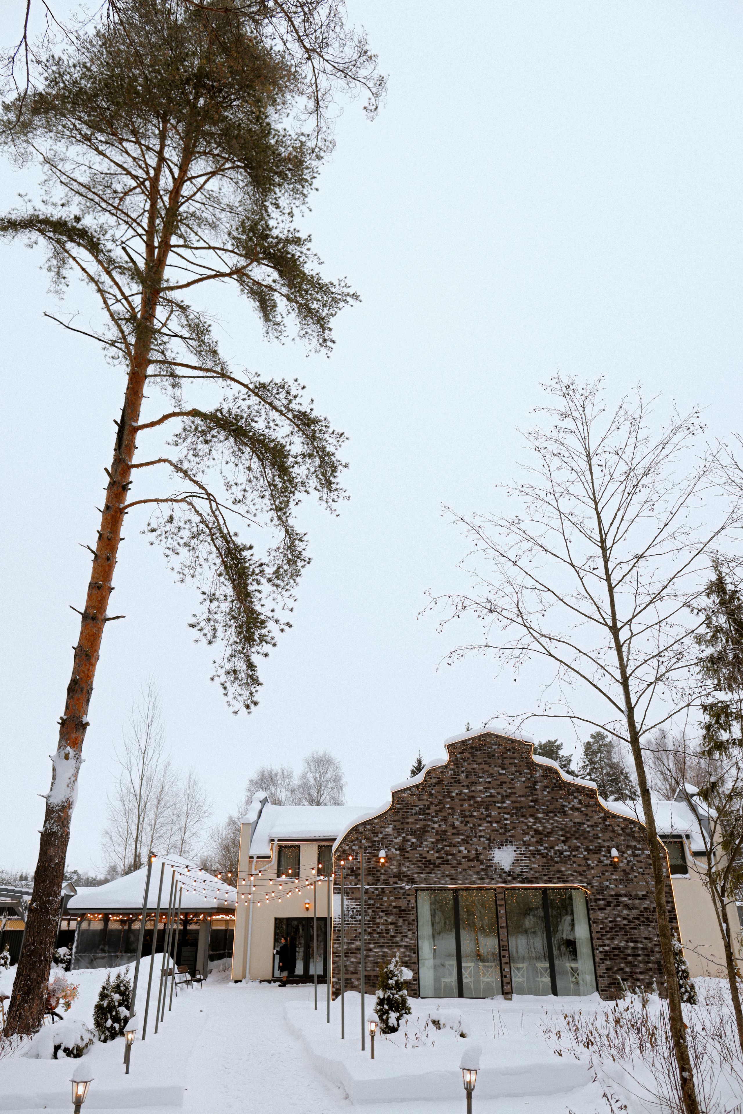 ☀️ МОРОЗ 🔥. Свадебный фотограф в Москве Никифоров-Гордеев Константин