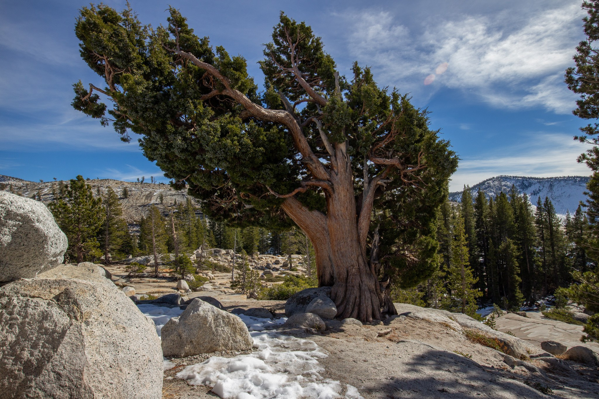 Парк Yosemite, США, 2013. Фотограф Василий Буланов