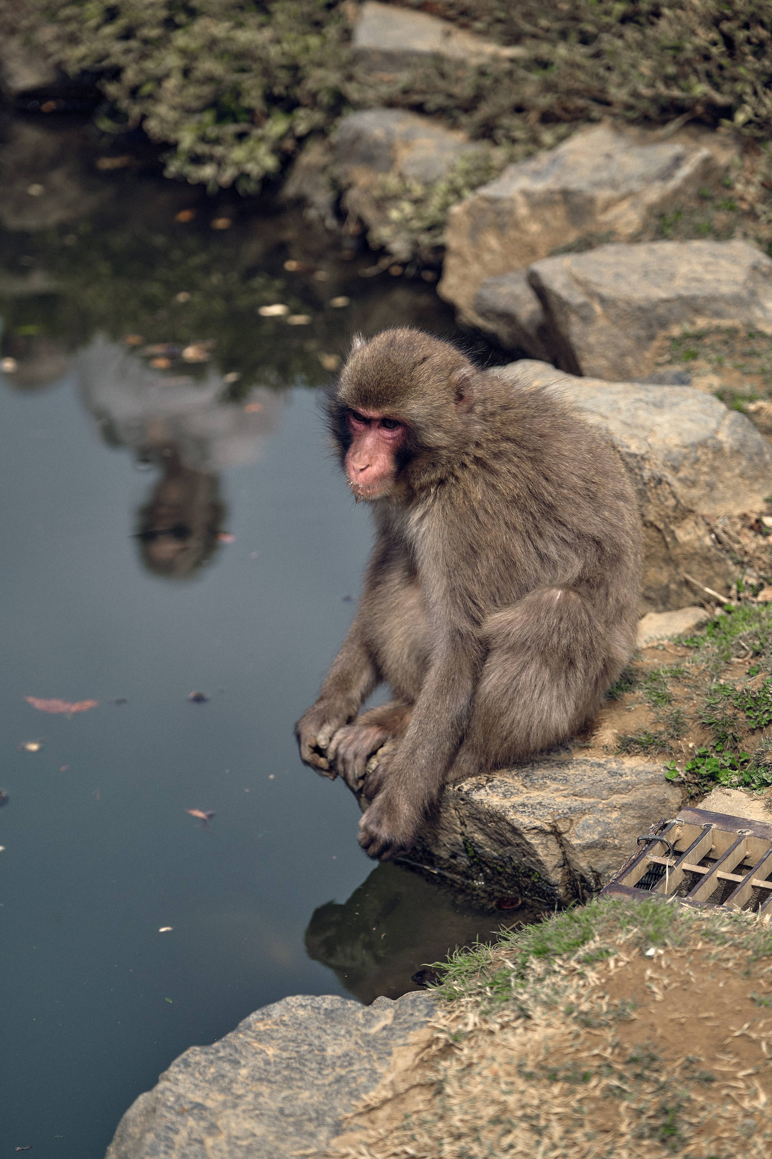 Japan / Osaka≫Kyoto≫Tokyo. Aleksandr Kobtsev