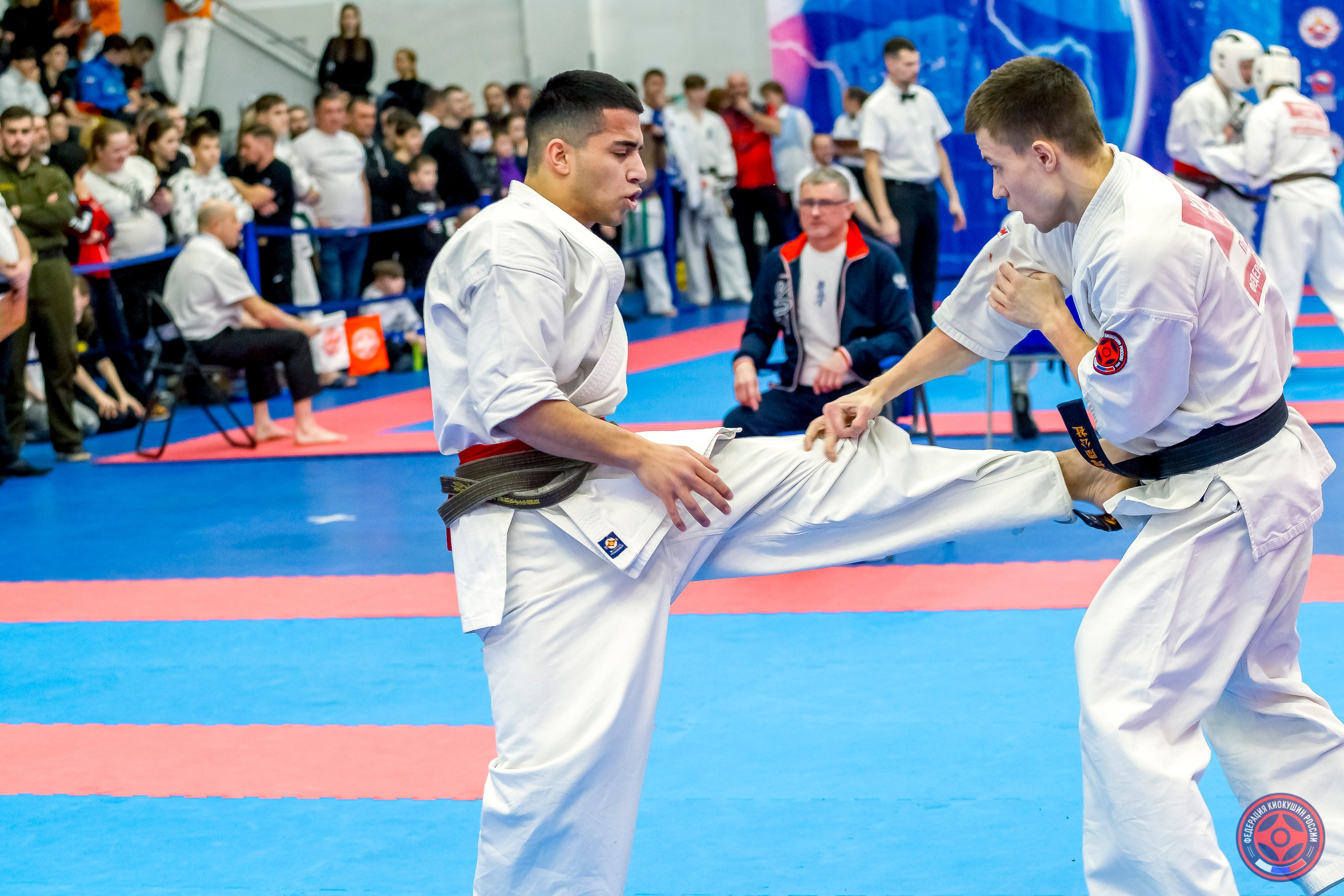 Международный турнир по киокушин «Открытый кубок Seiken». Репортажная съемка в Москве и области. Анималистика