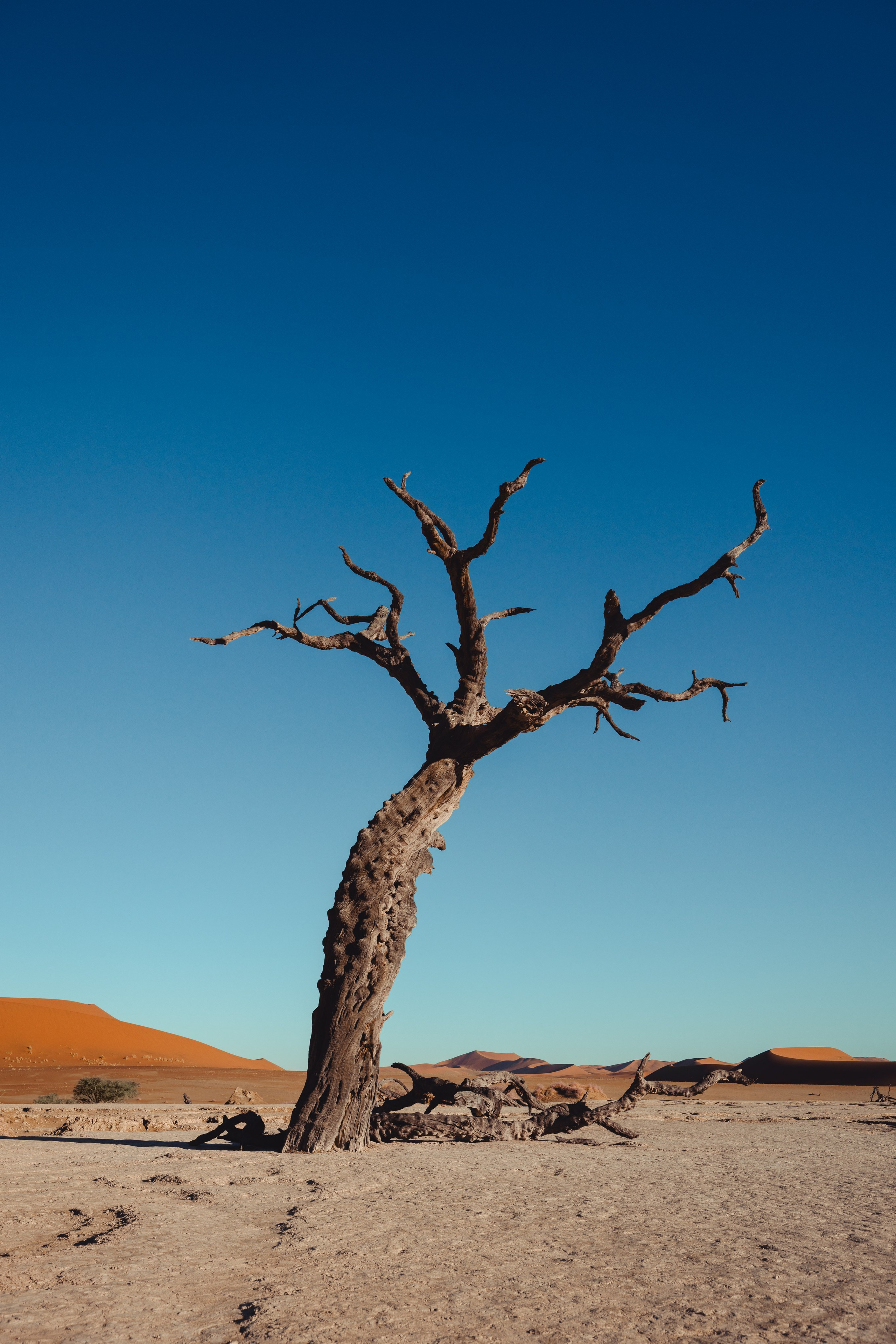Namibia. Алексей Mollino… Фотографии и немножечко больше