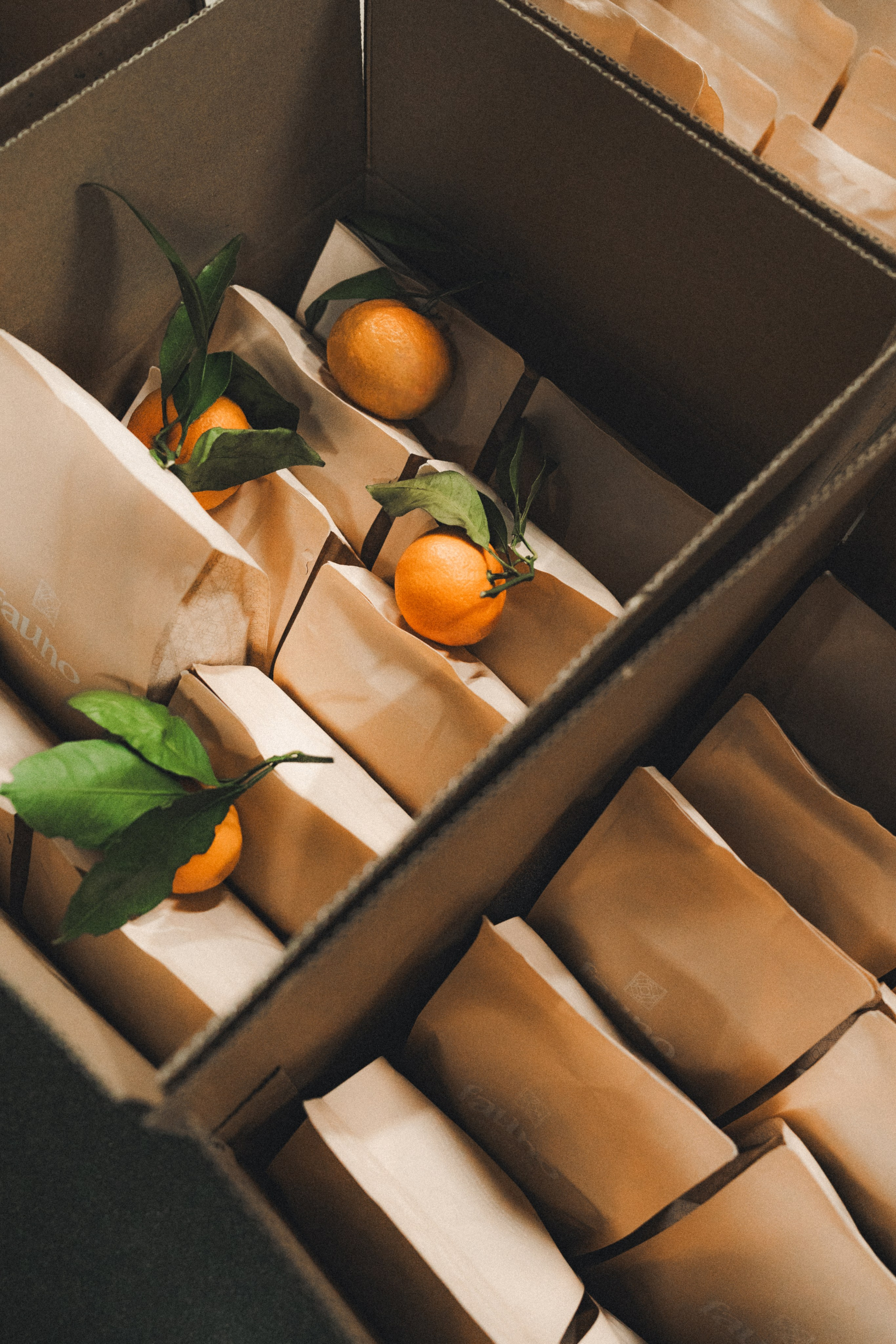 Fauno. Фотограф Илья К. в Москве