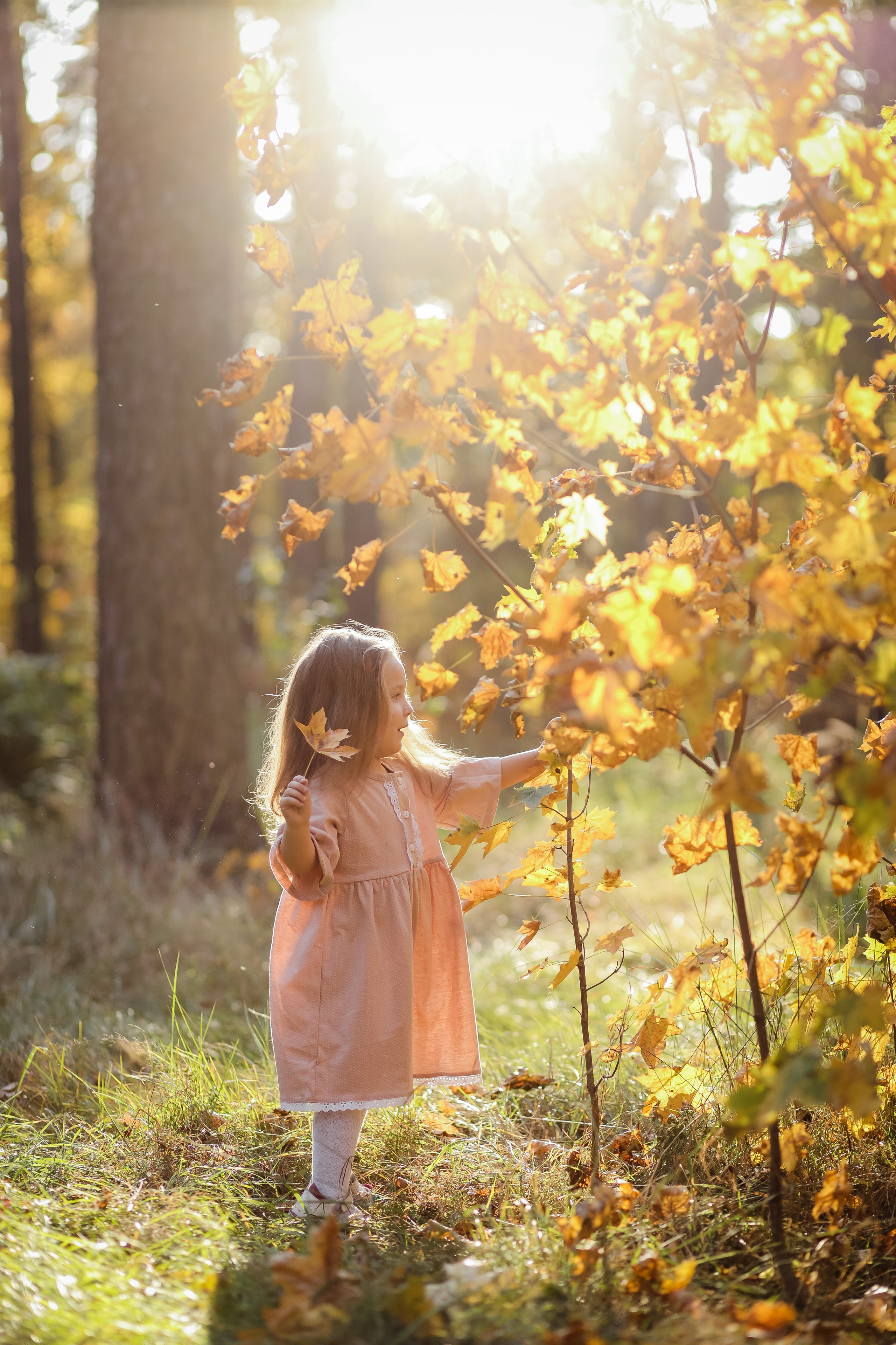 Семейная осенняя прогулка. Свадебный, семейный и детский фотограф в Люберцах Зайцева Анастасия