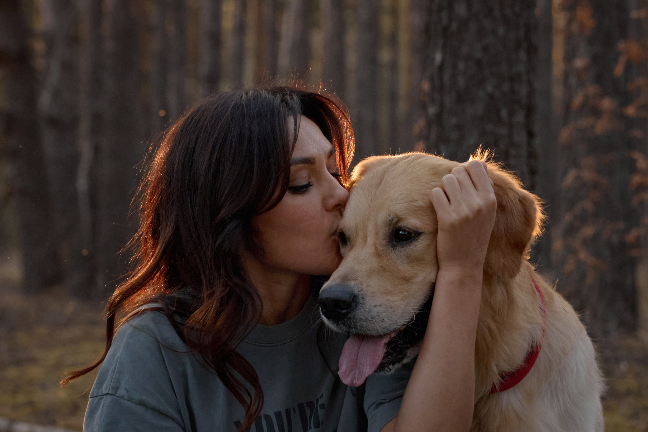 В Марийских лесах. Фотограф анималист в Казани Алина Сулейманова. Фотограф животных