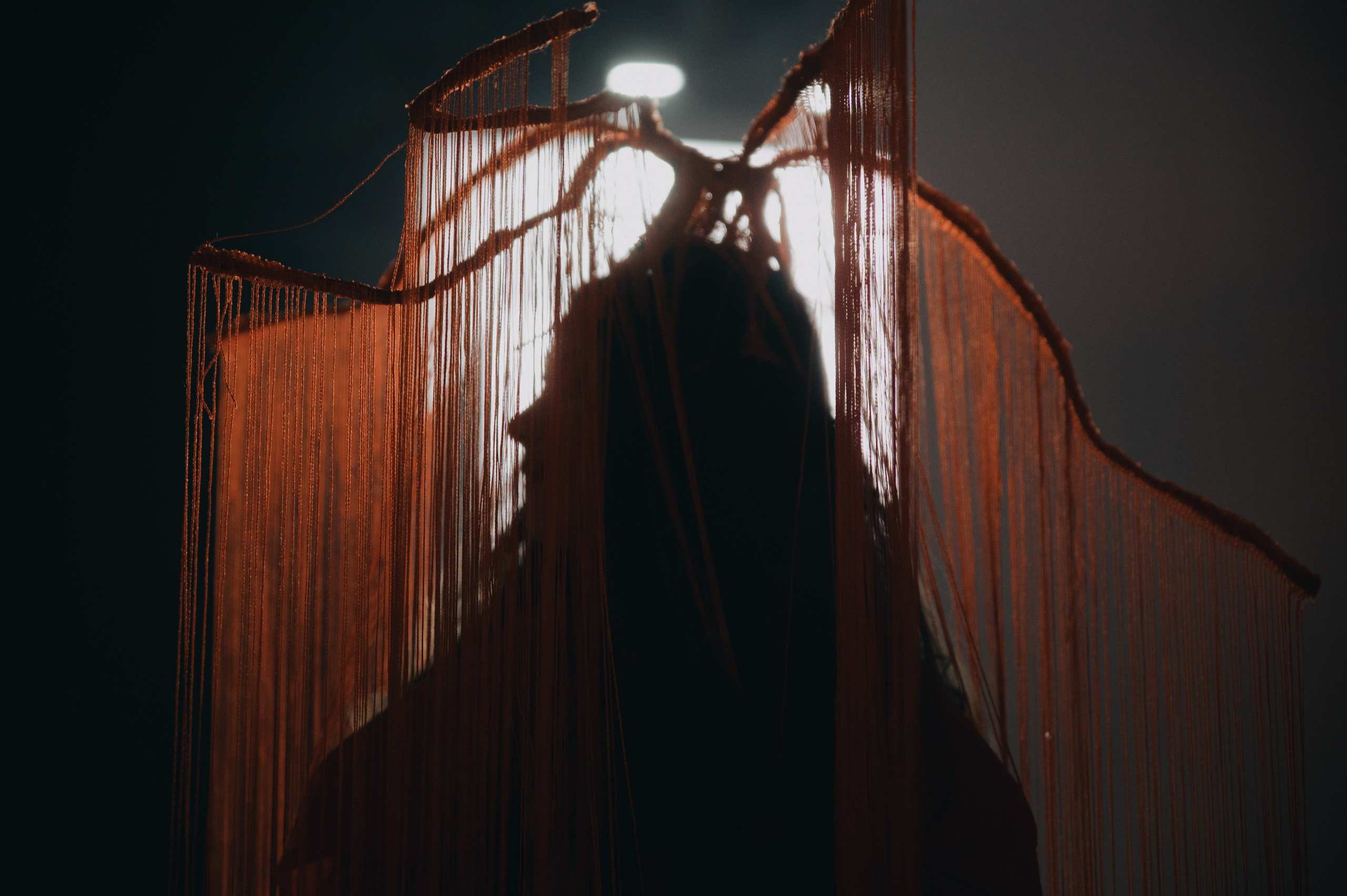 BeautyDayProHair 2025. Свадебный и портретный фотограф в Москве Жердев Даниил