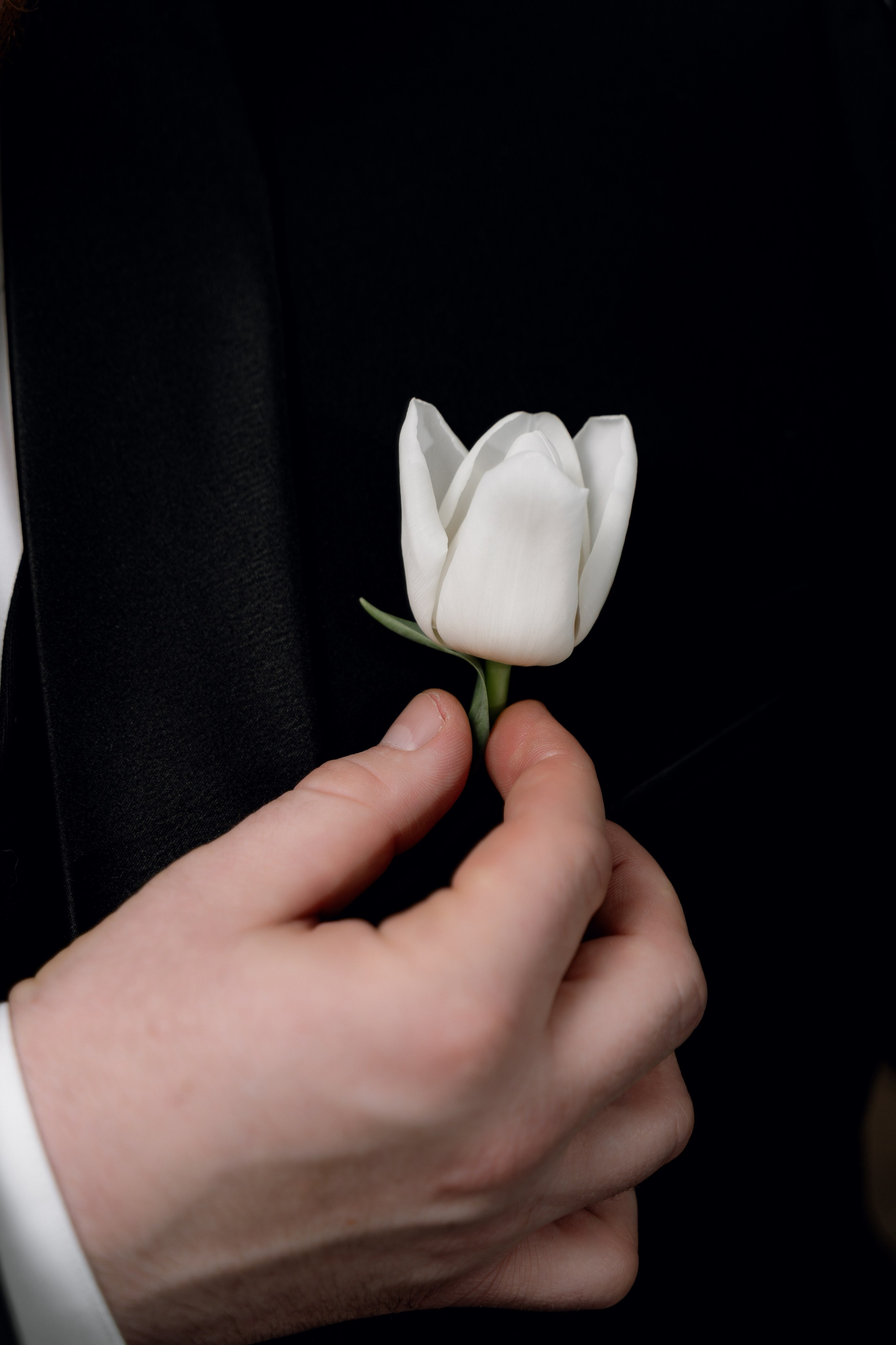 Андрей & Екатерина. RAMIL SAFIULLIN