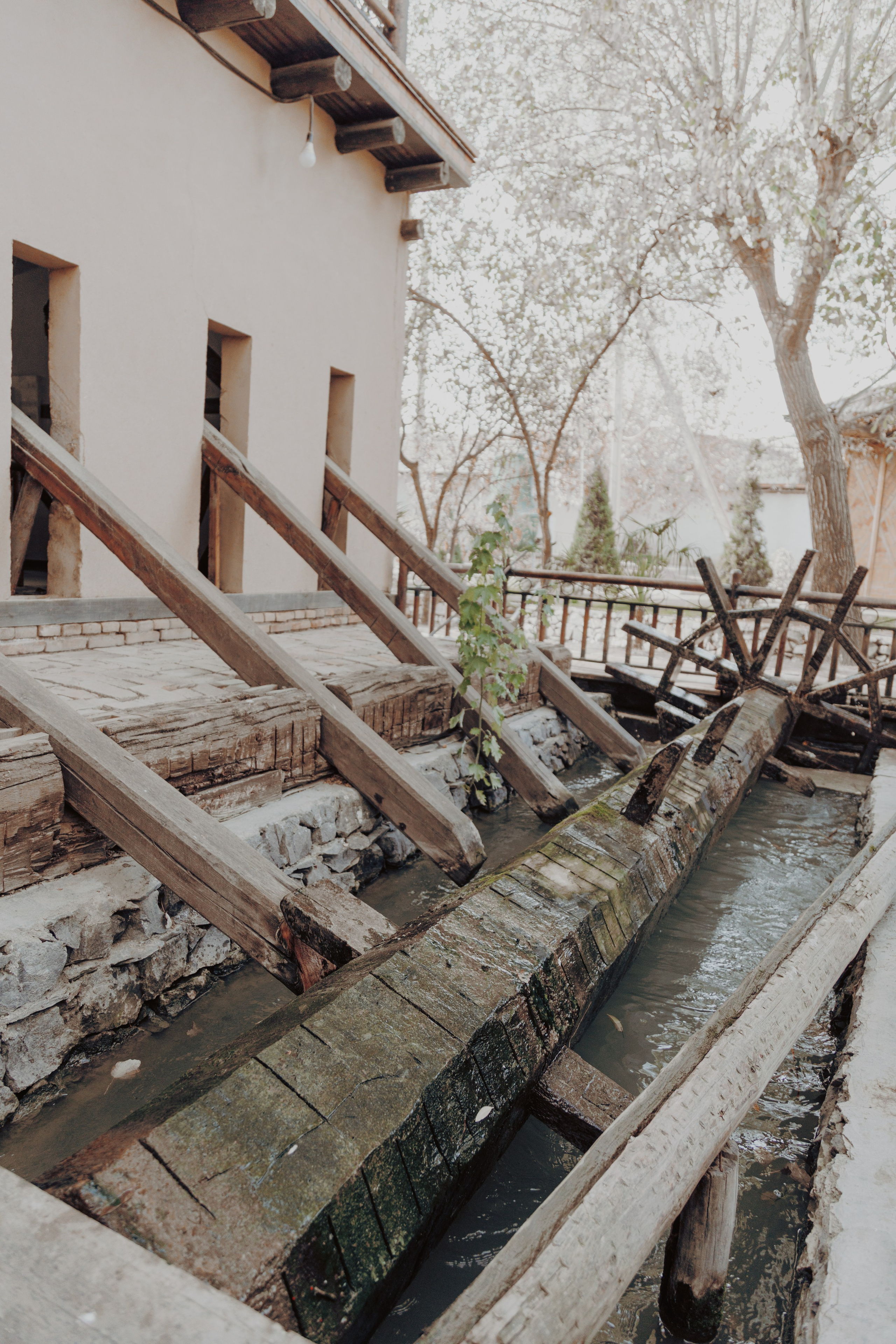 Узбекистан. Креатор Ольга Яш